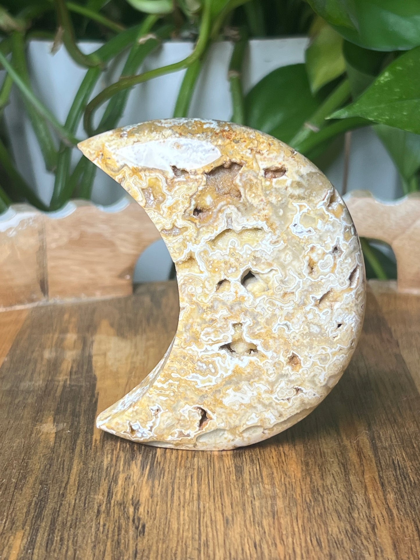 Yellow Crazy Lace Agate Moon