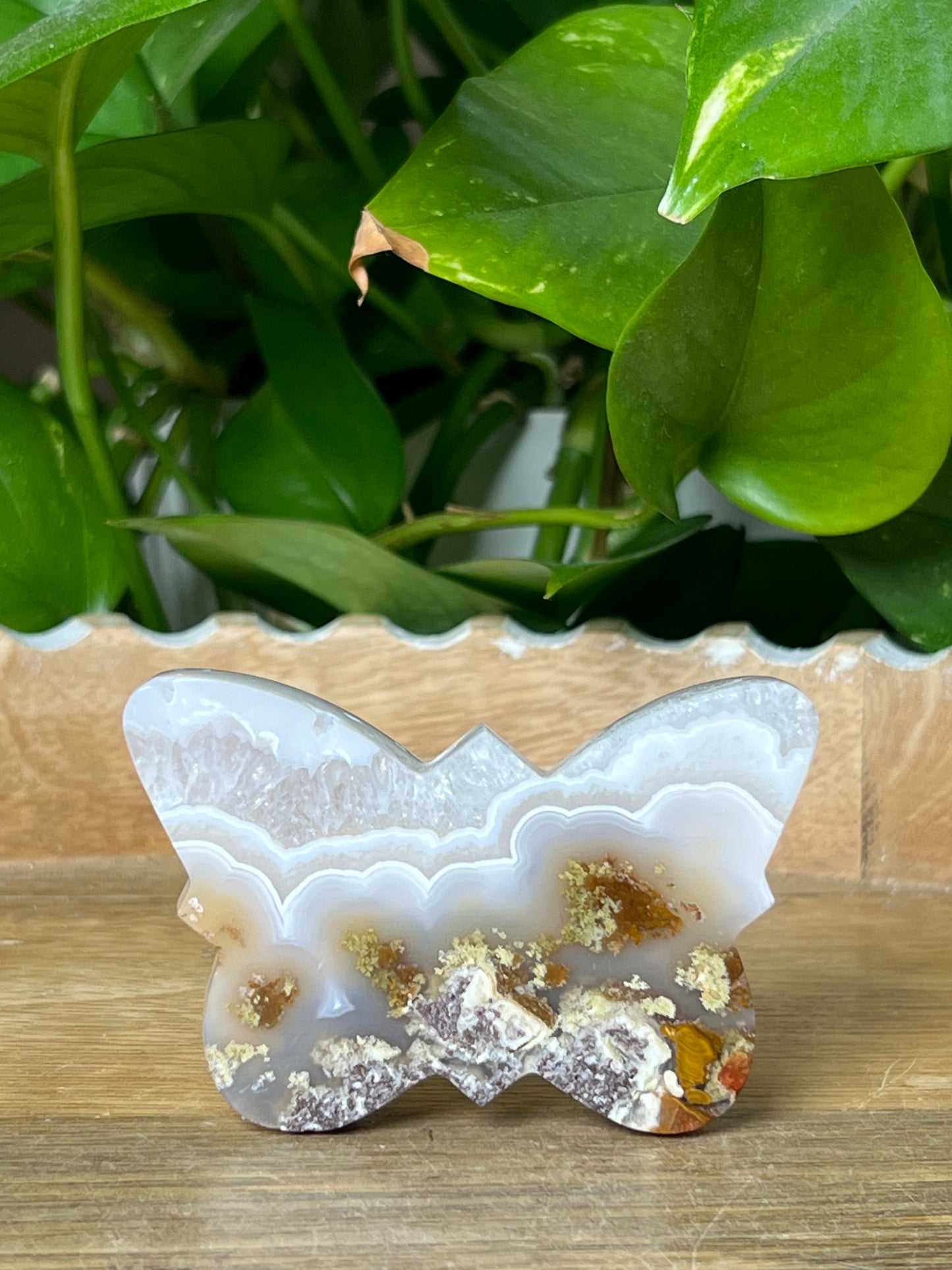 Scenic Moss Agate Butterfly