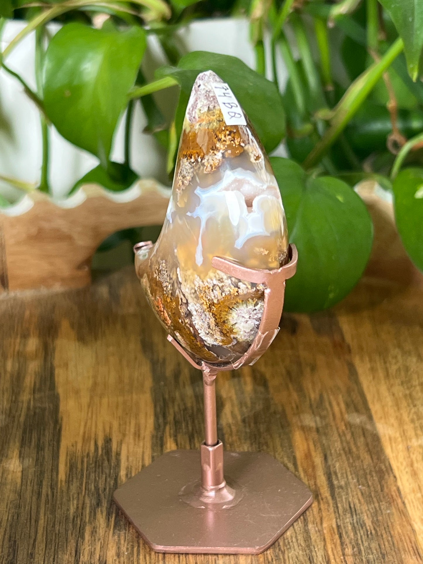 Scenic Moss Agate Moon