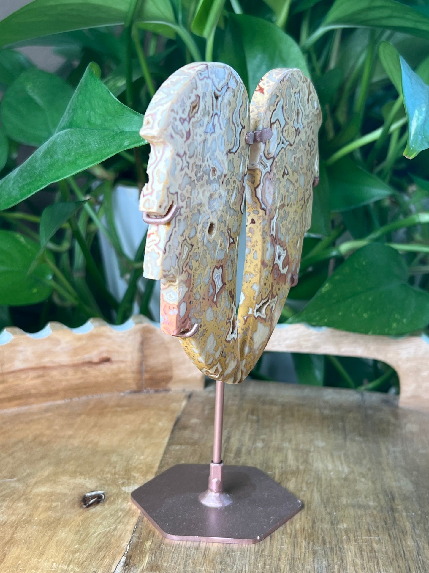 Crazy Lace Agate Wings