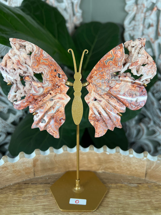 Crazy Lace Agate Wings