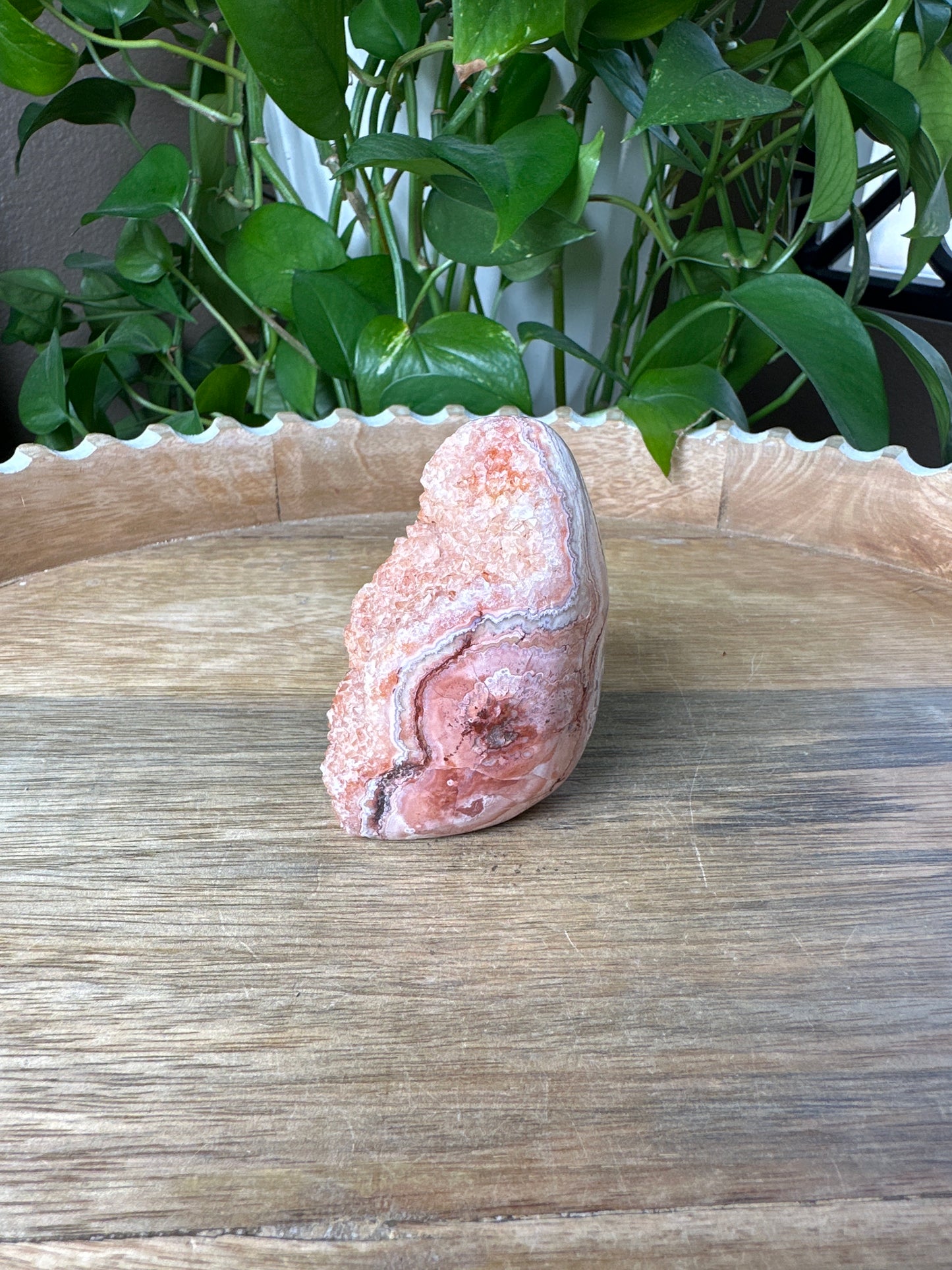 Crazy Lace Agate Freeform