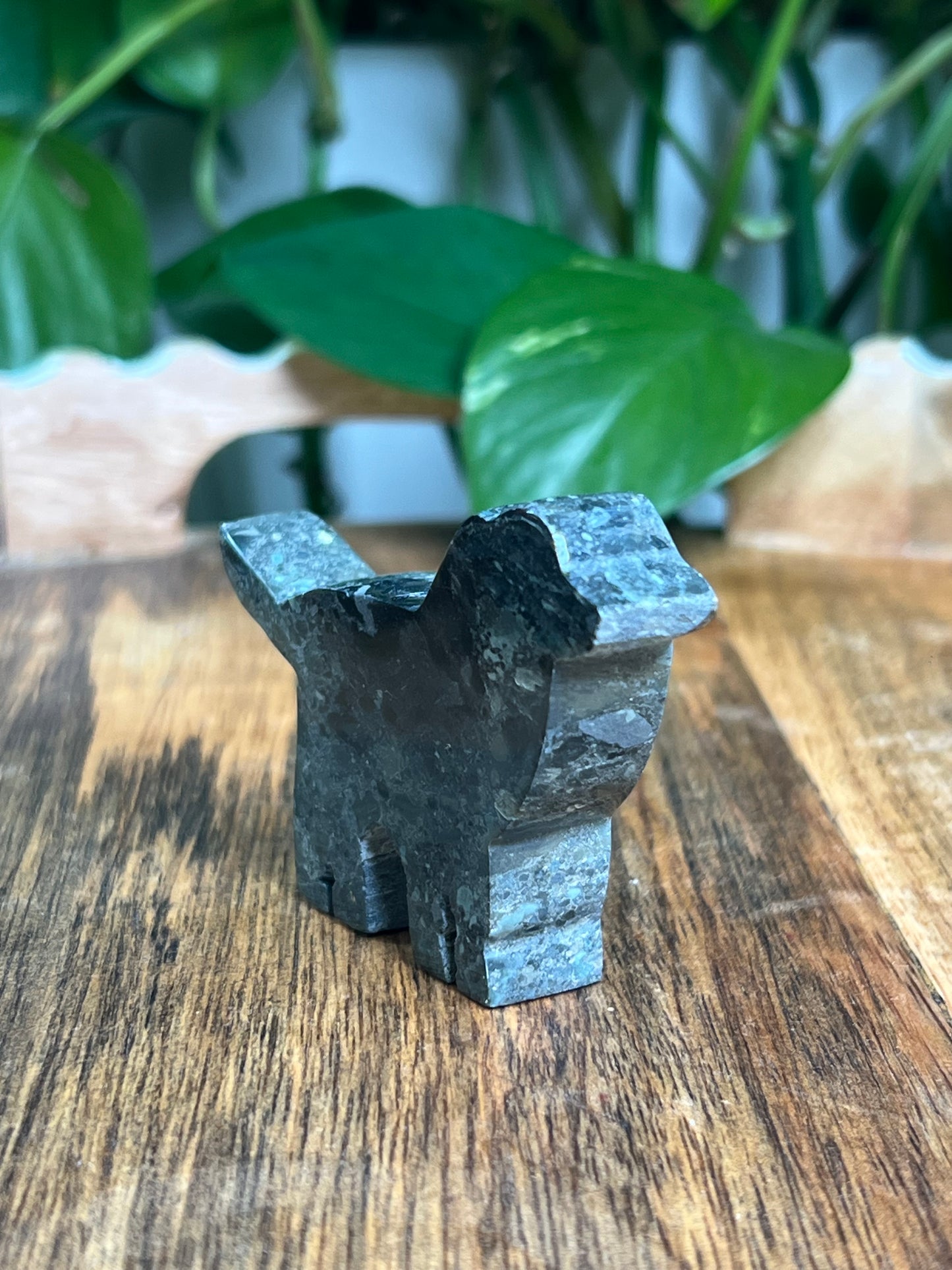 Blue Green Jasper Dog: BK