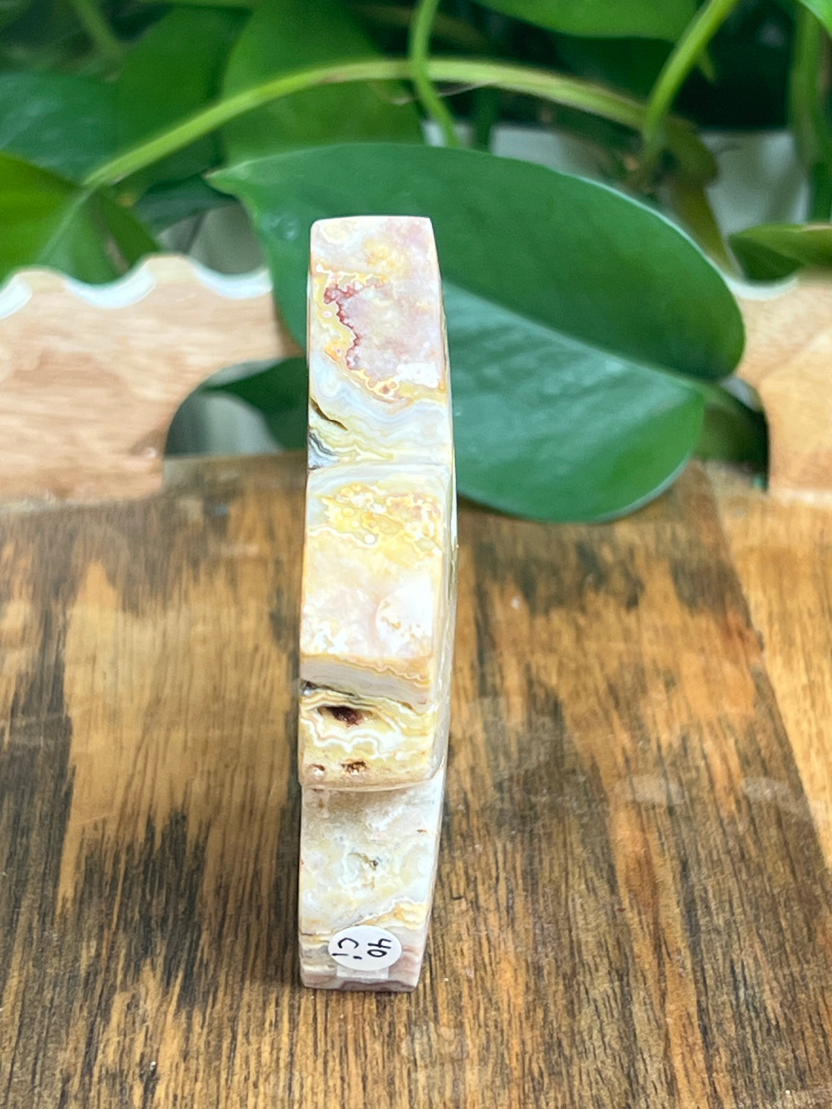 Crazy Lace Agate Flower: Ci