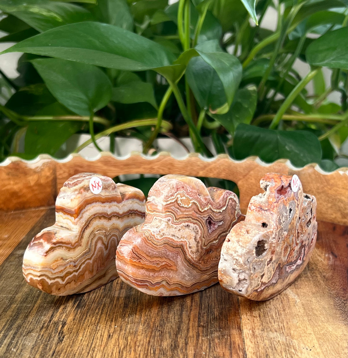 Crazy Lace Agate Self Standing Clouds