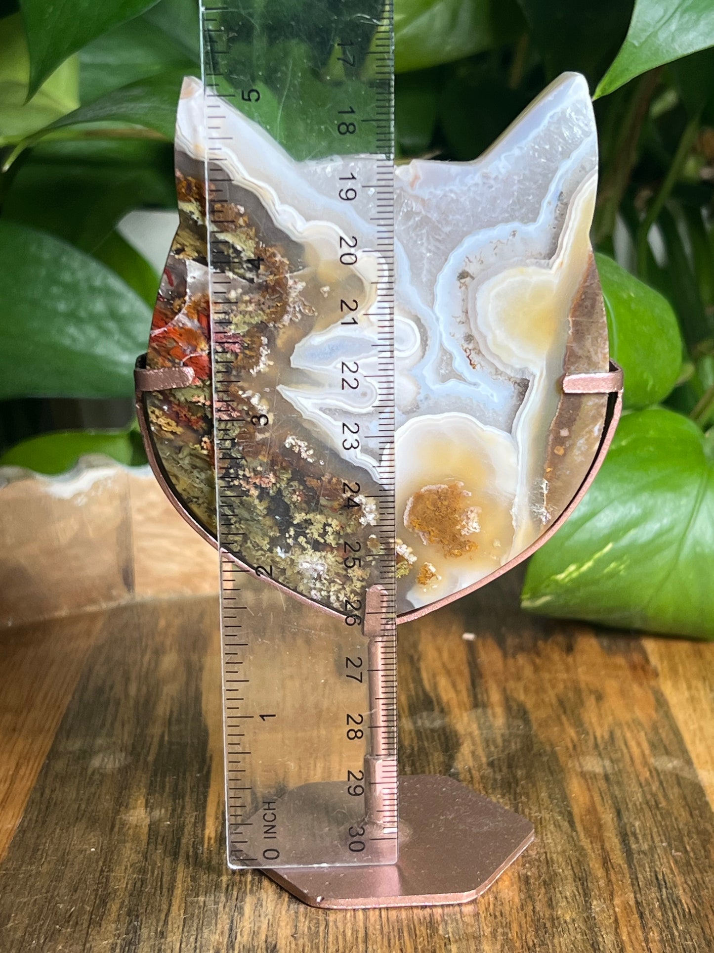 Scenic Moss Agate Cat Head