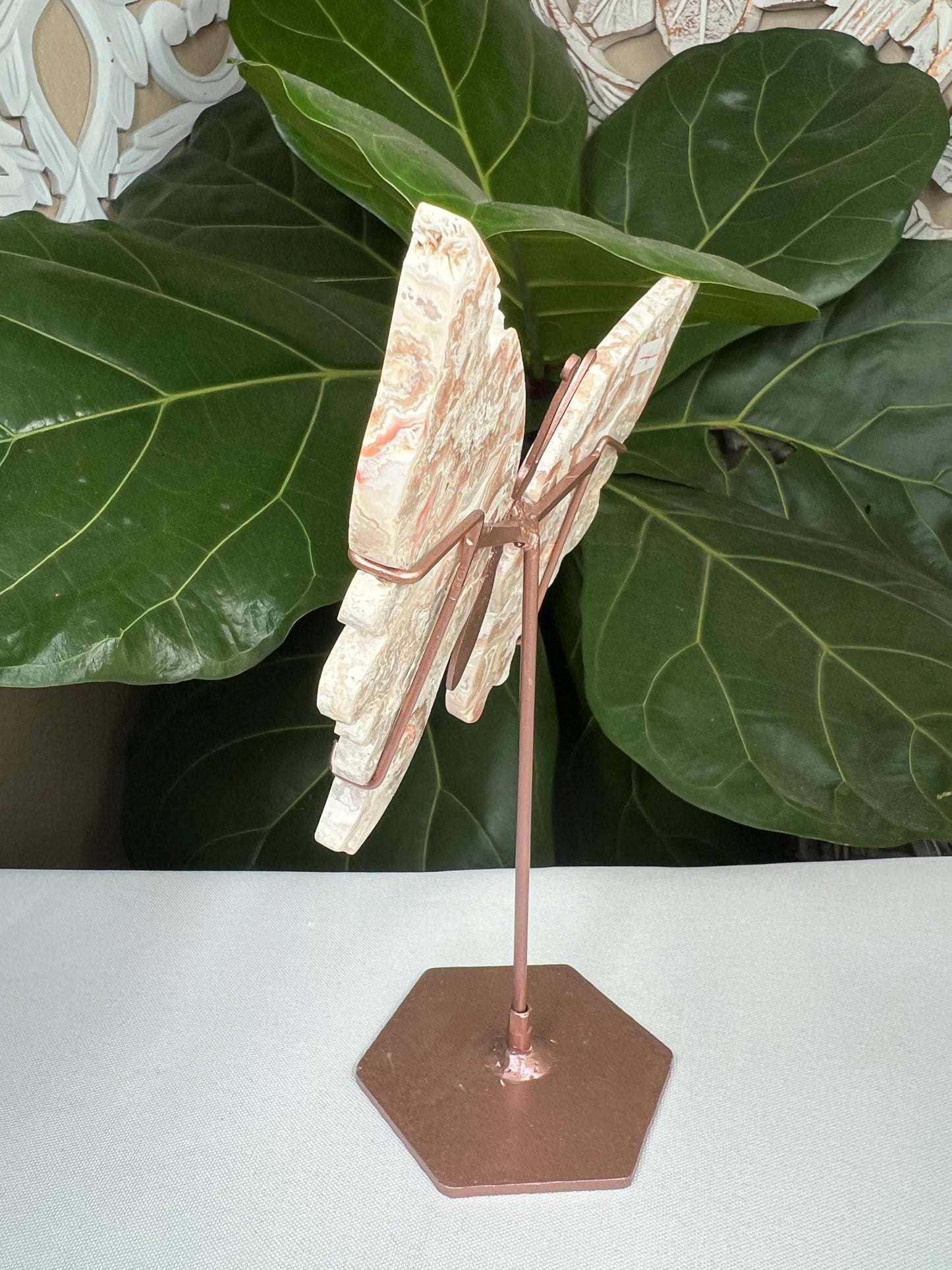 Crazy Lace Agate Wings