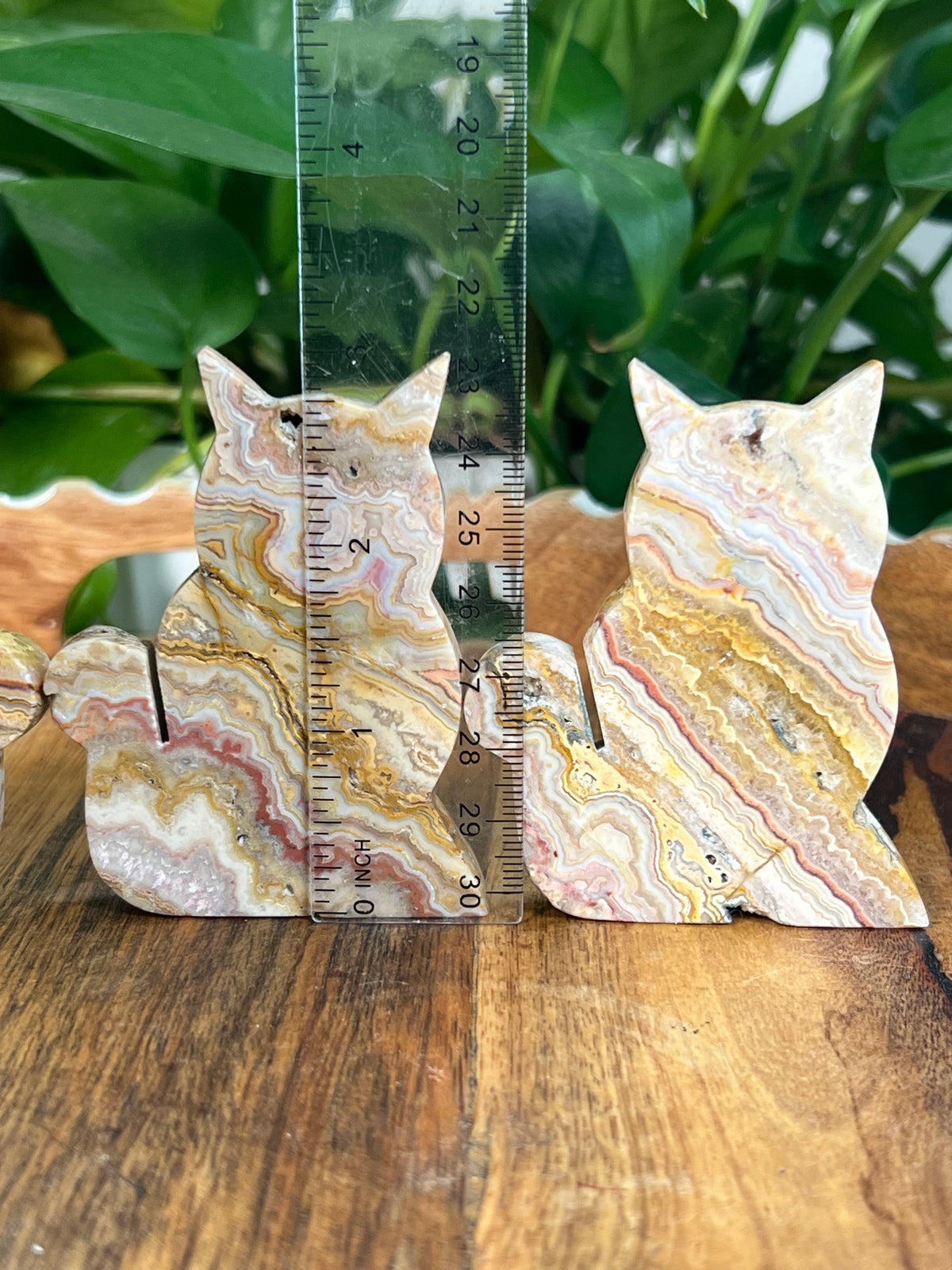Crazy Lace Agate Small Cats