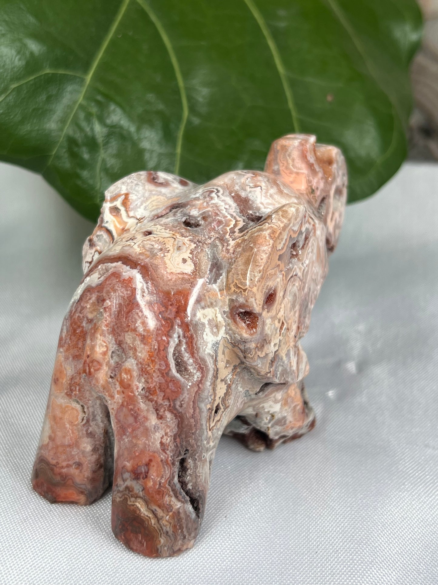 Crazy Lace Agate Elephant