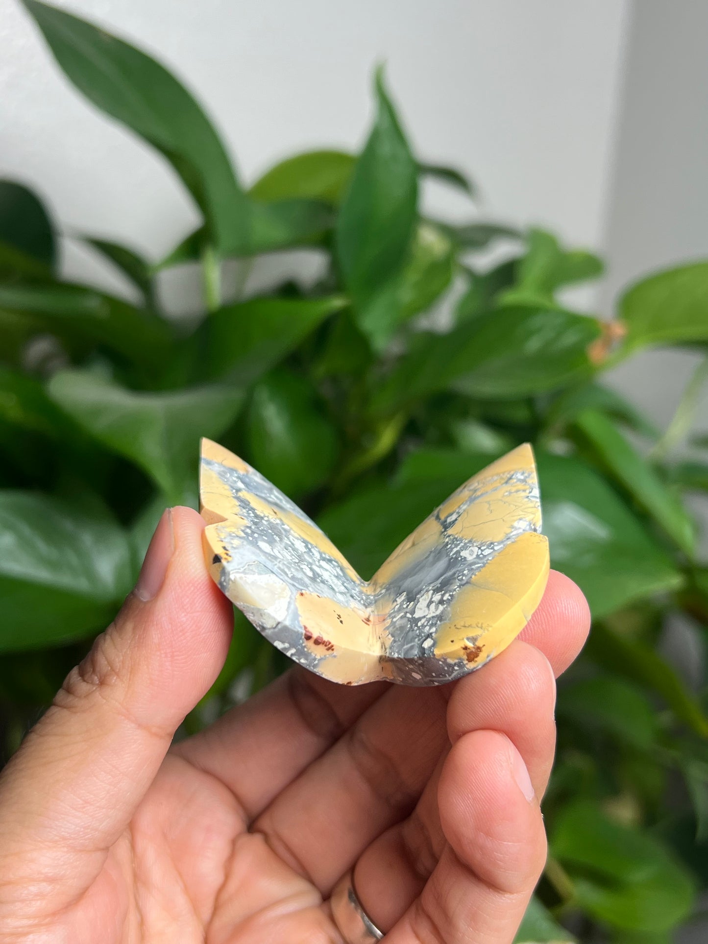 Maligano 3D Butterfly: BL