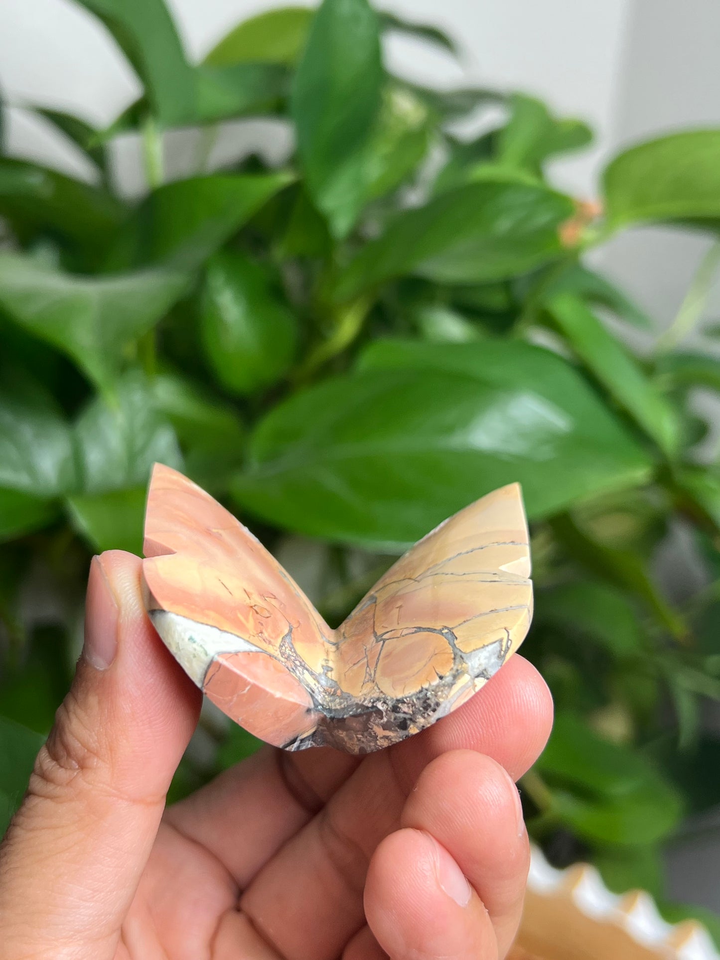 Maligano 3D Butterfly: AJ