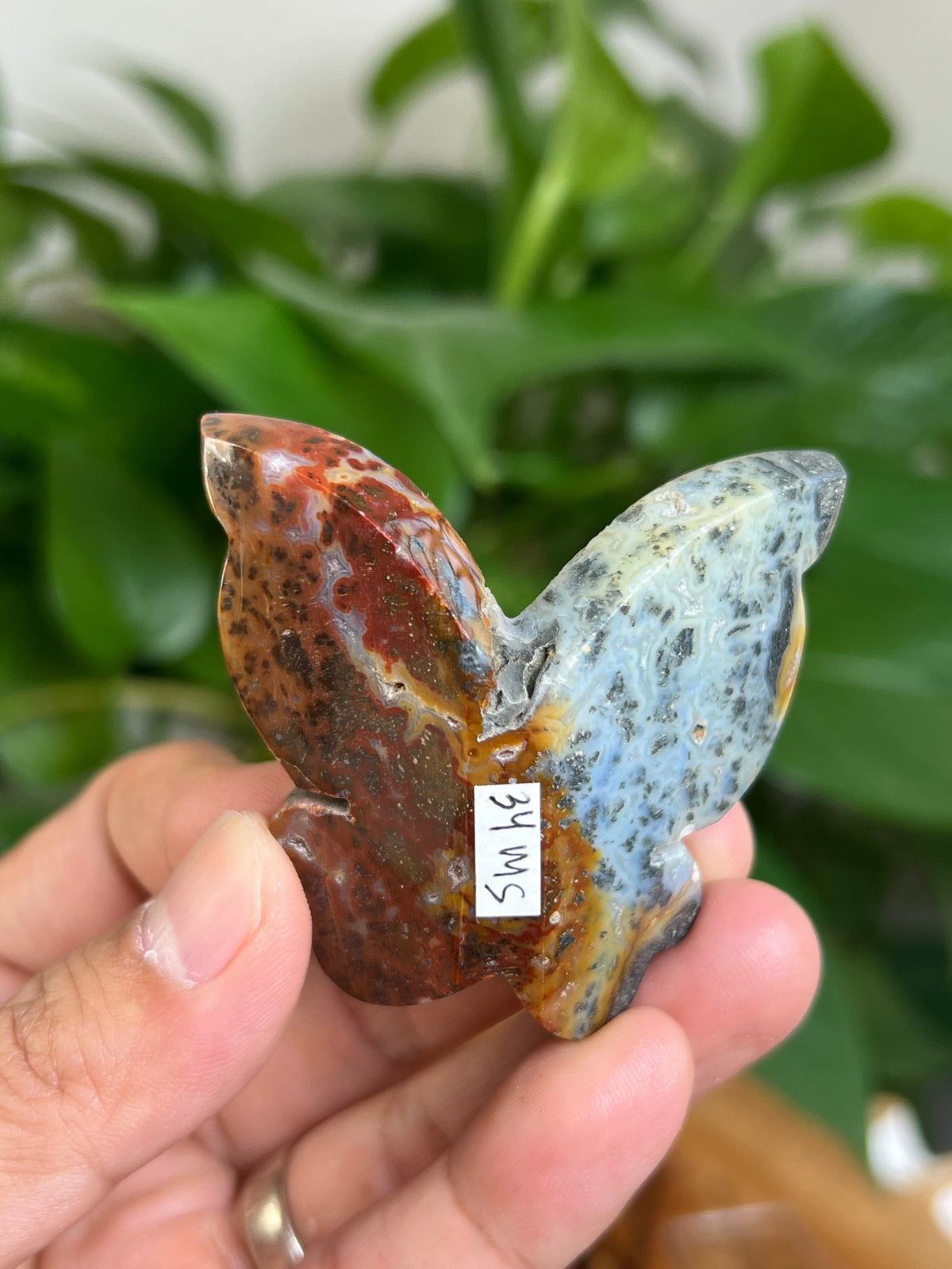 Marcasite 3D Butterfly: MS