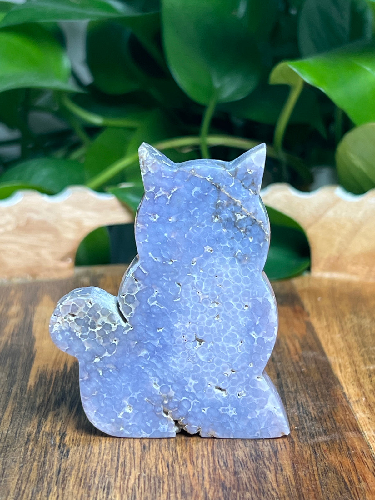 Grape Agate Cat: Ni