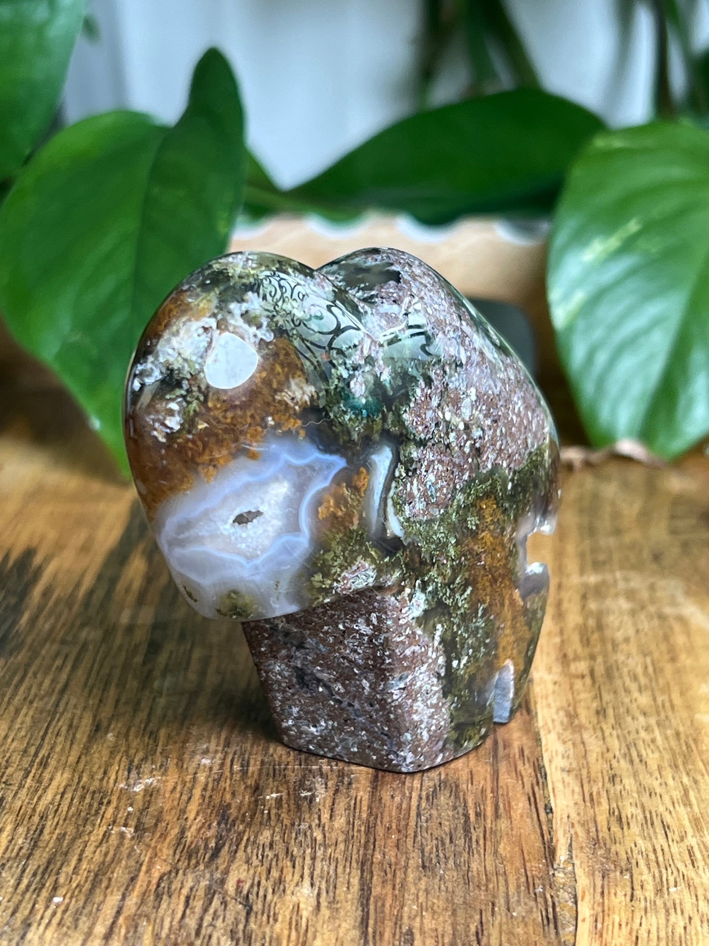 Scenic Moss Agate Buffalo NB