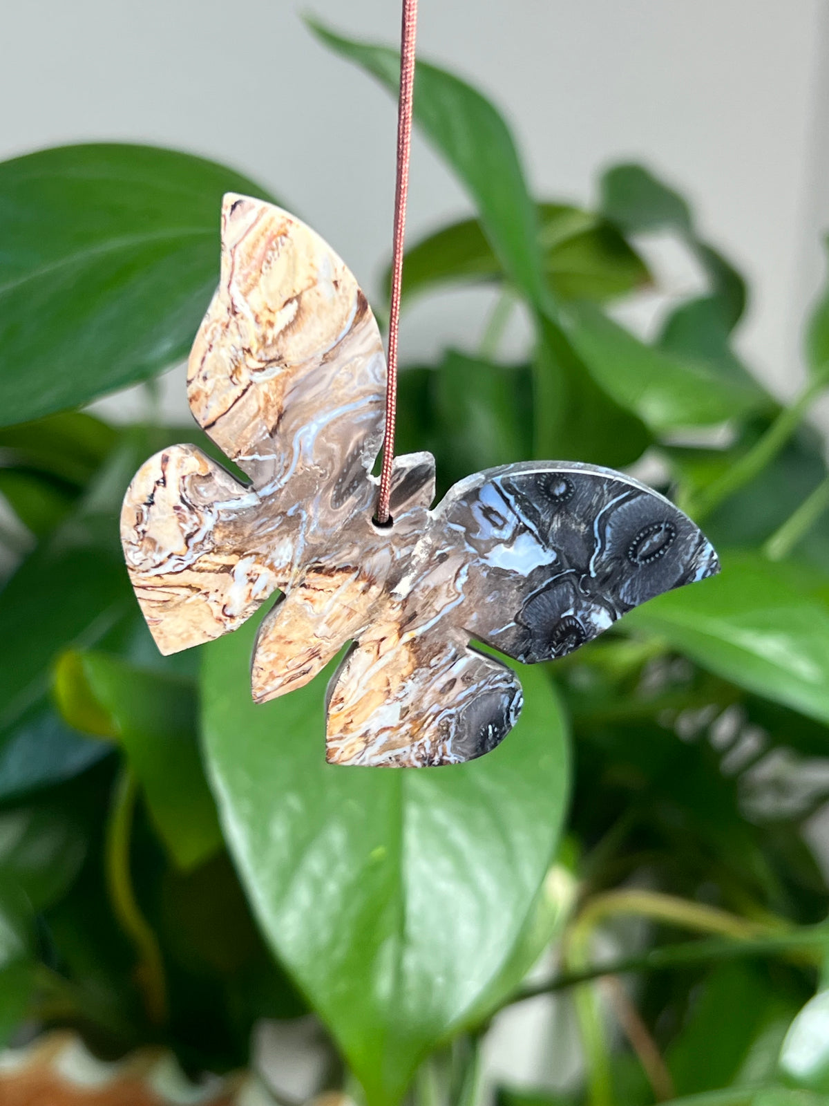 Palm Root Ornament Butterfly: PQ