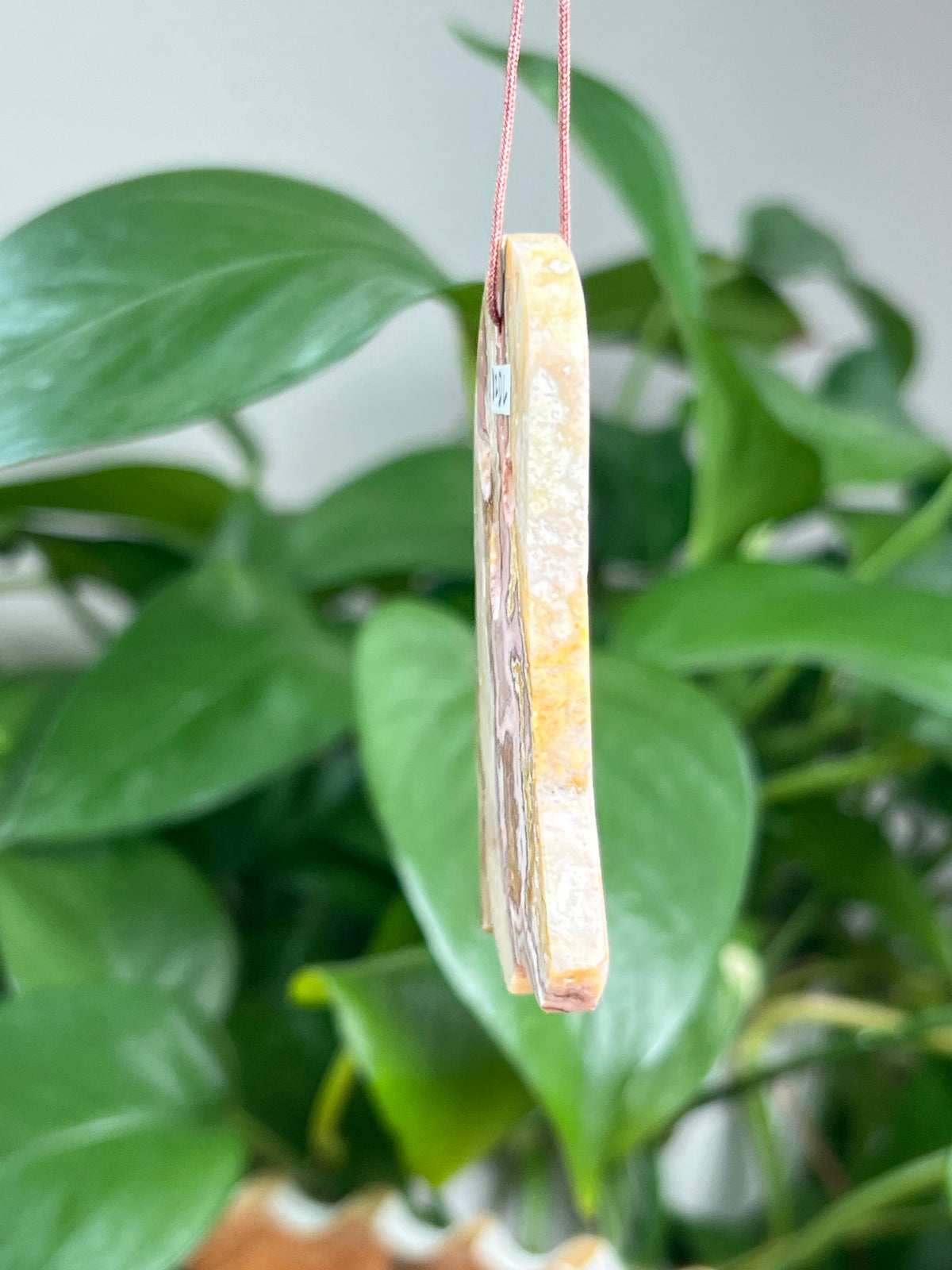 Crazy Lace Agate Ornament Ghost: DL