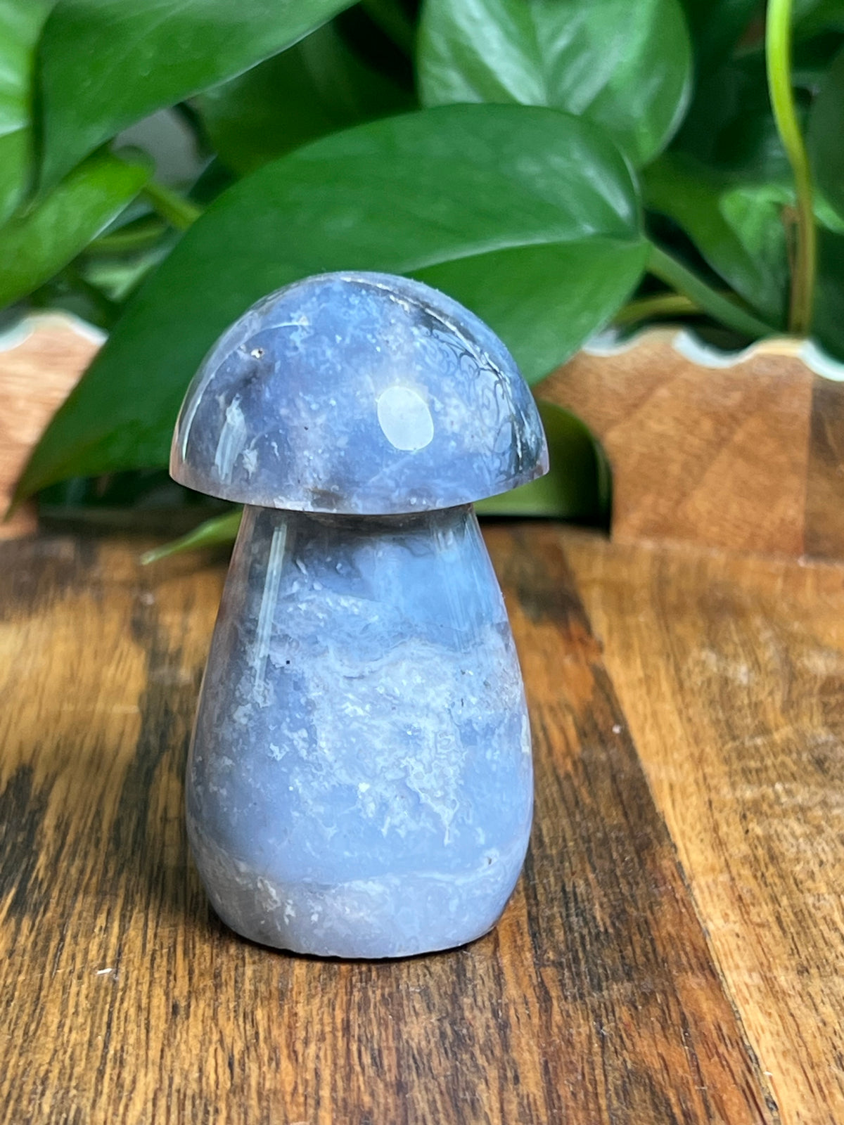Blue Plume Agate Mushroom: CF