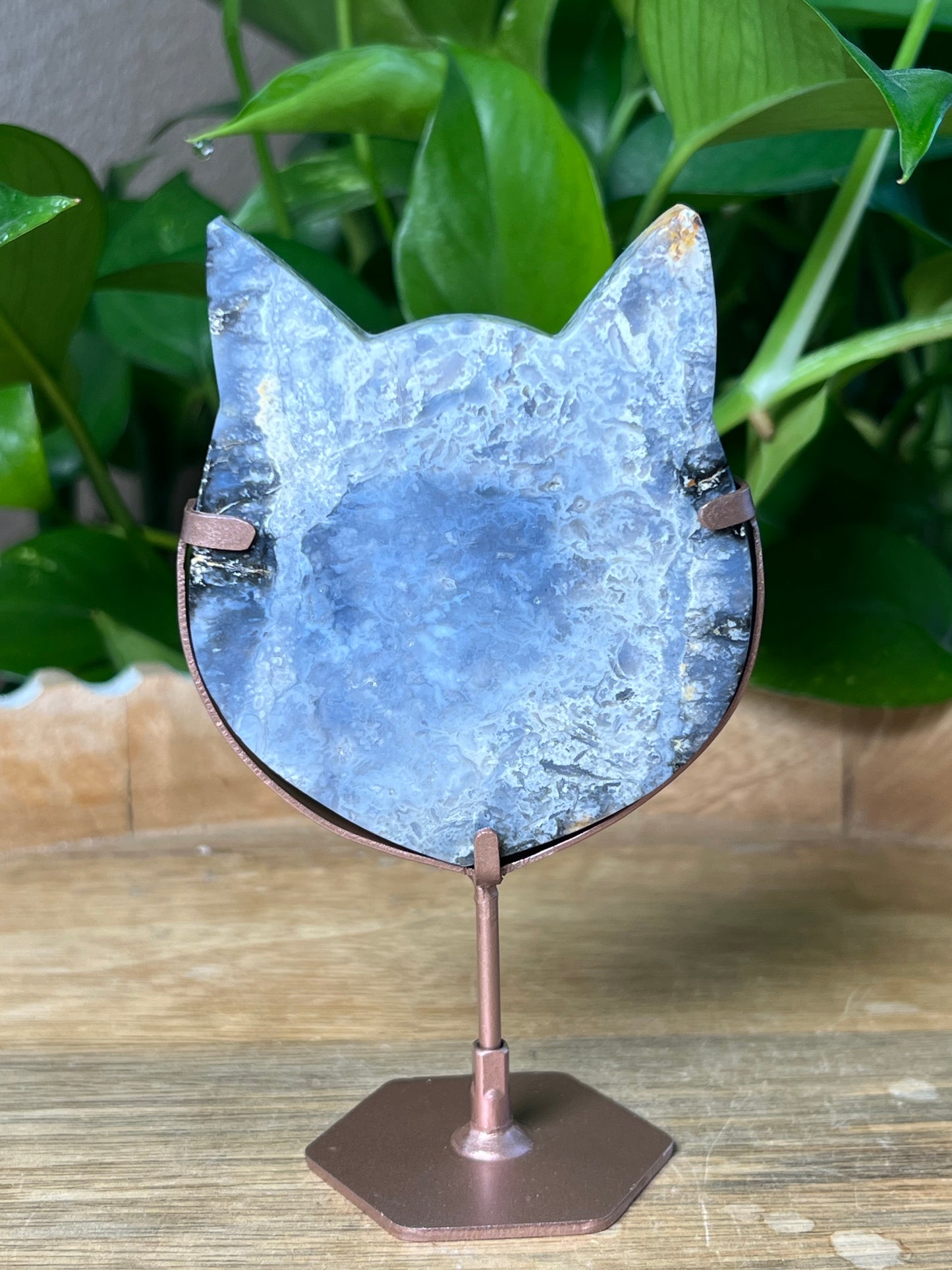Blue Plume Agate Cat