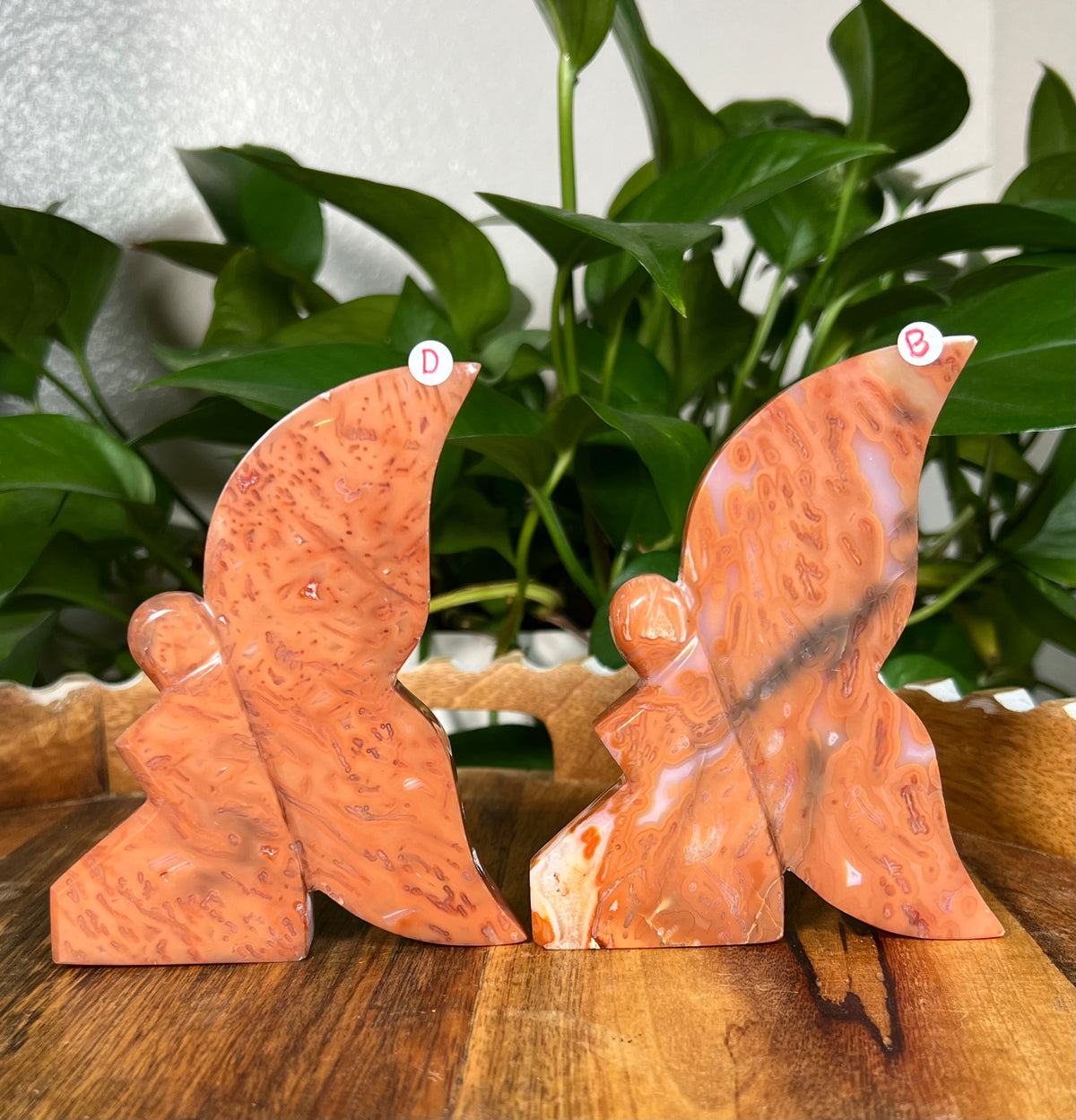 Red Carnelian Fairies