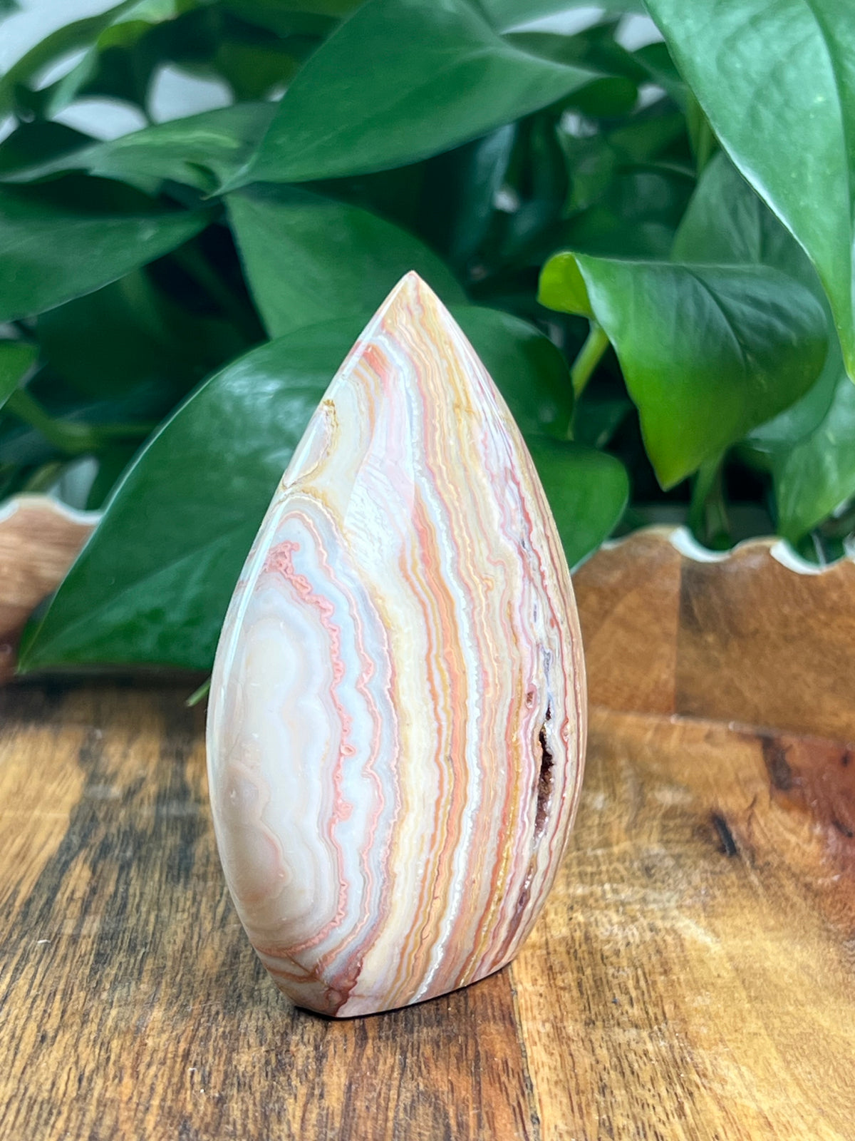 Crazy Lace Agate Flame: BB