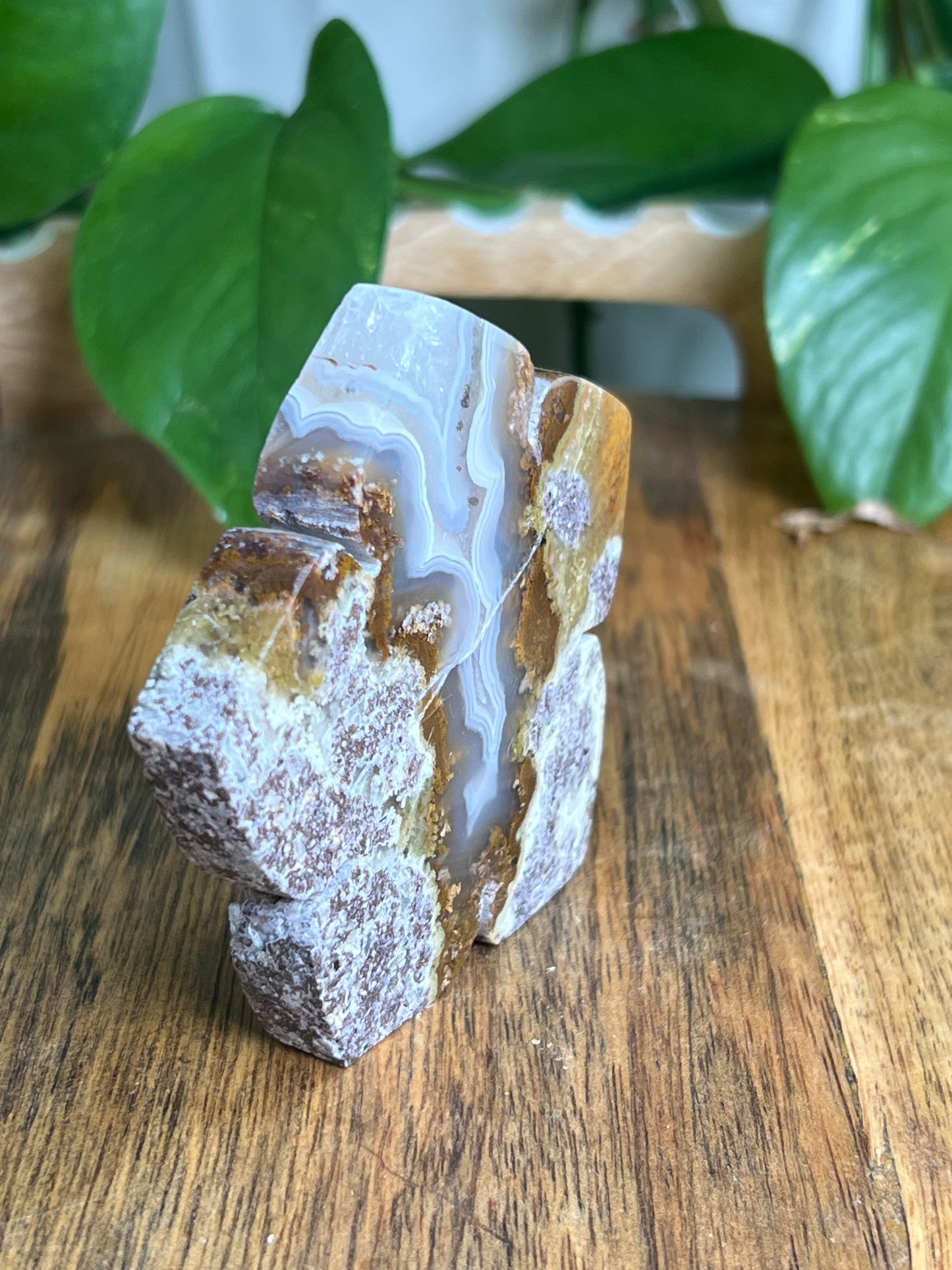 Scenic Moss Agate Flower KF