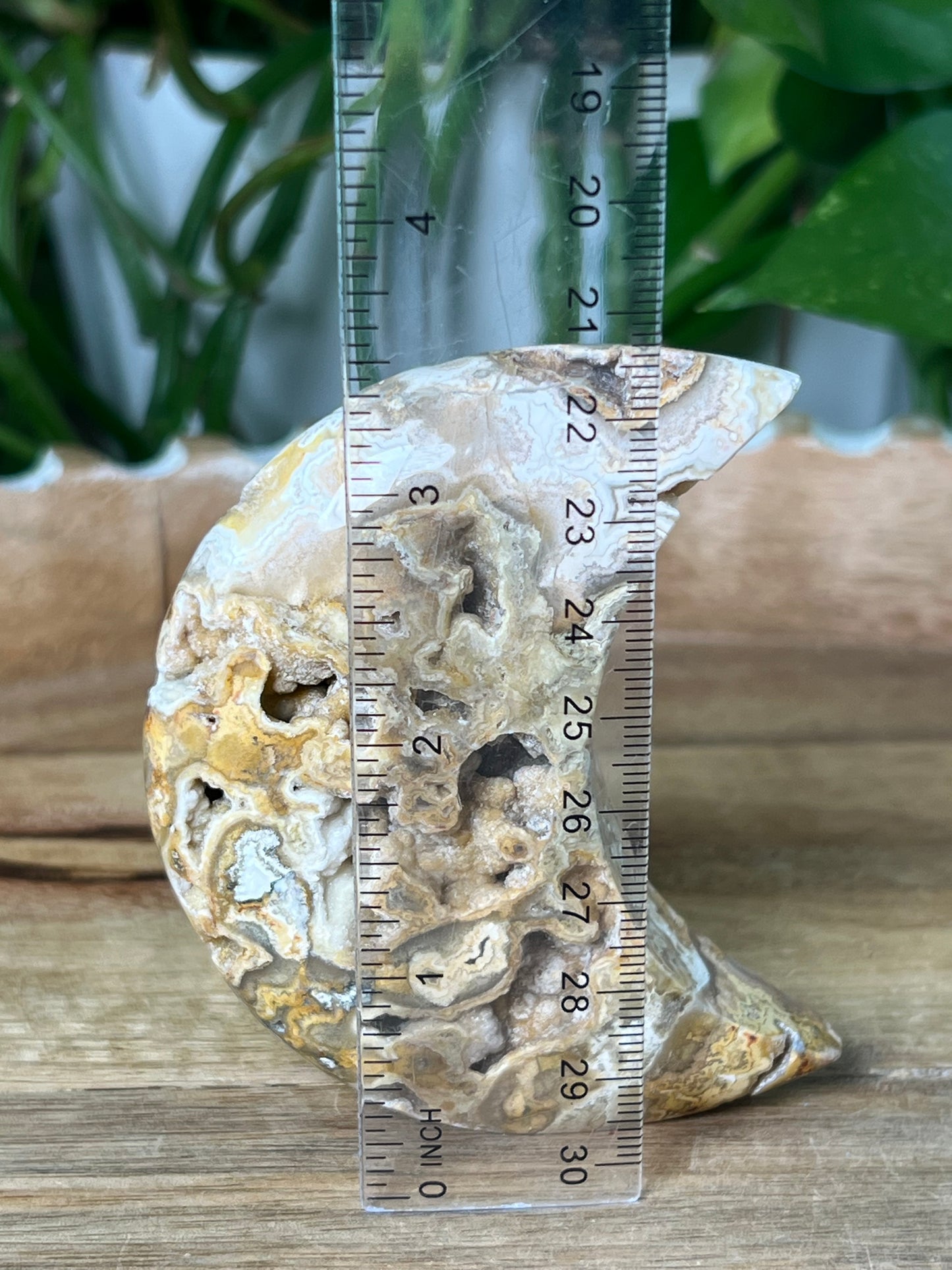 Crazy Lace Agate Moon