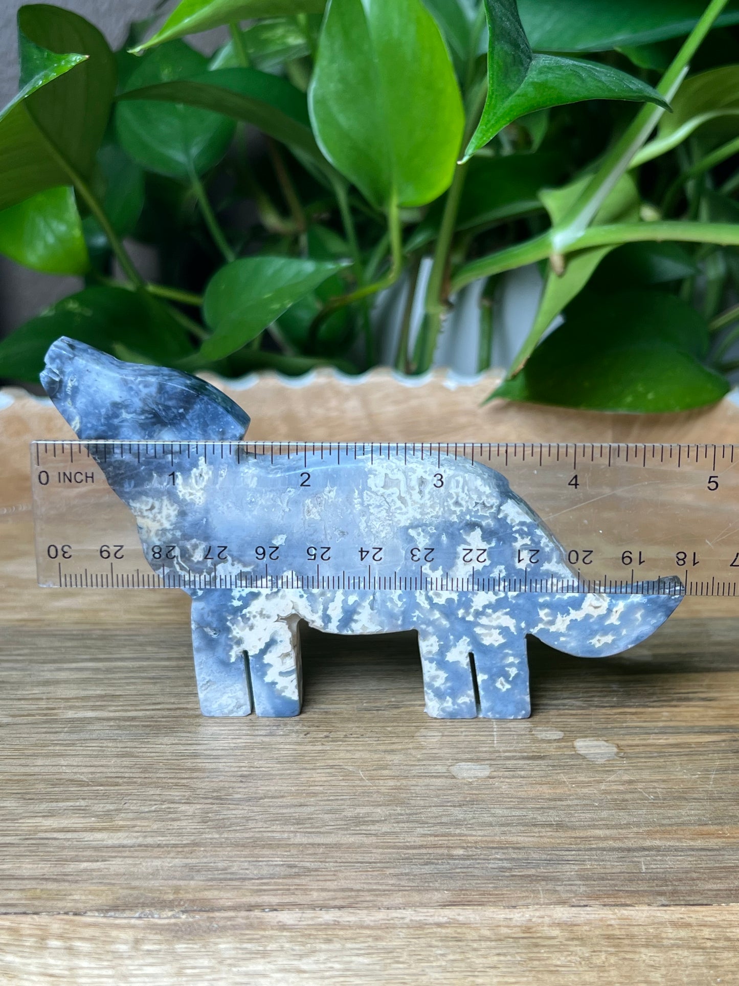 Blue Plume Agate Dog