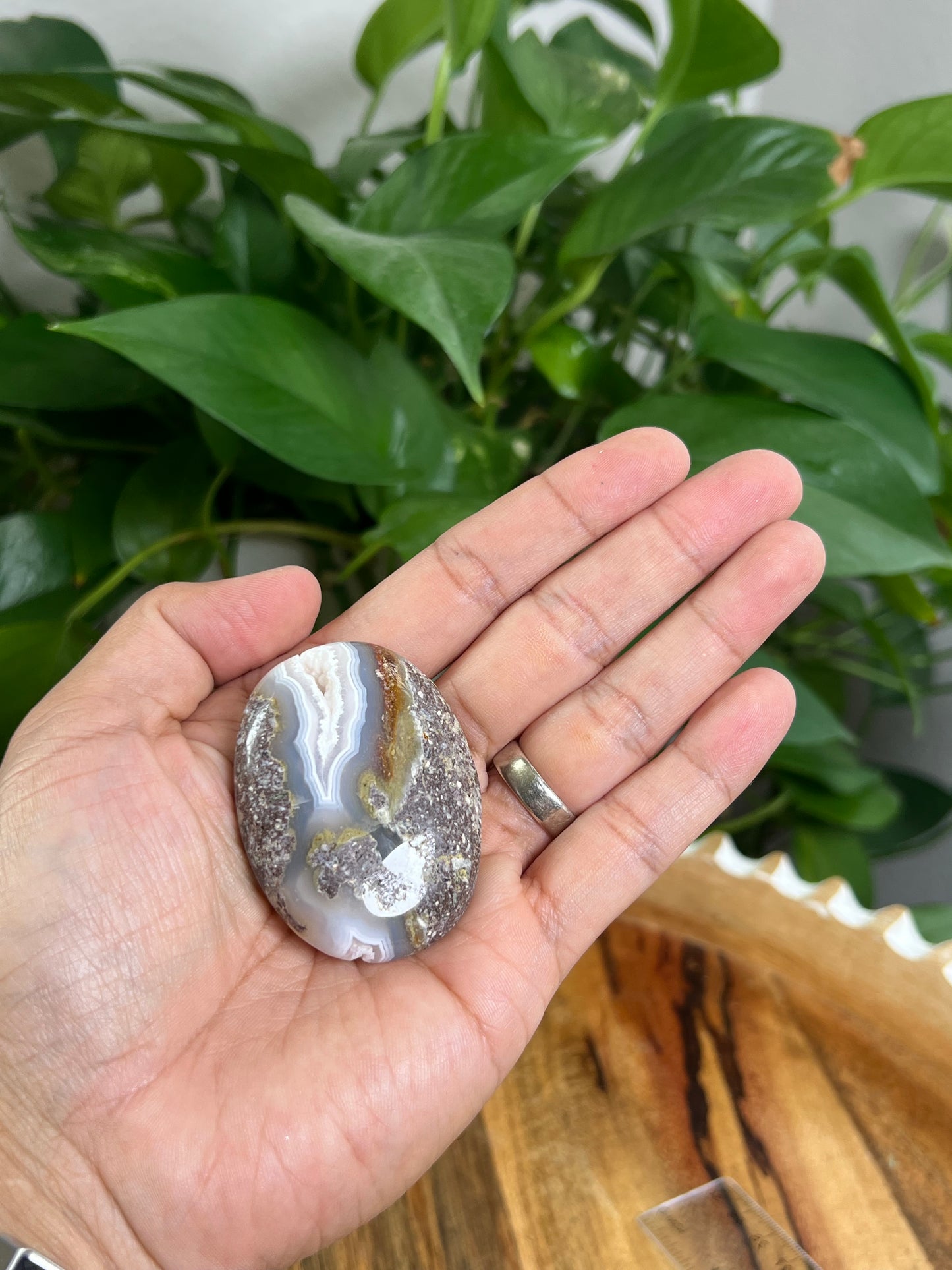 Scenic Moss Agate Palmstone: BF