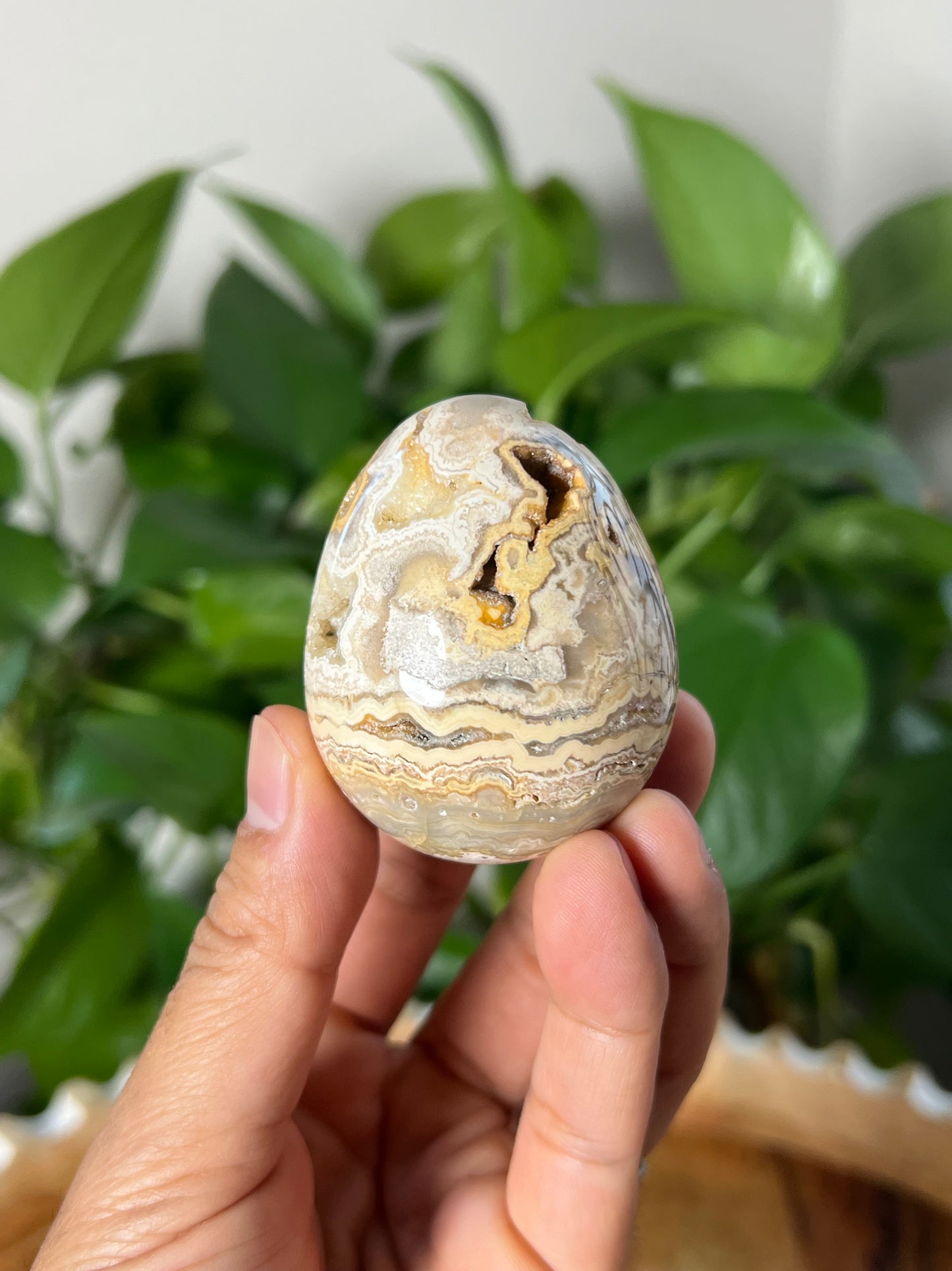 Crazy Lace Agate Egg