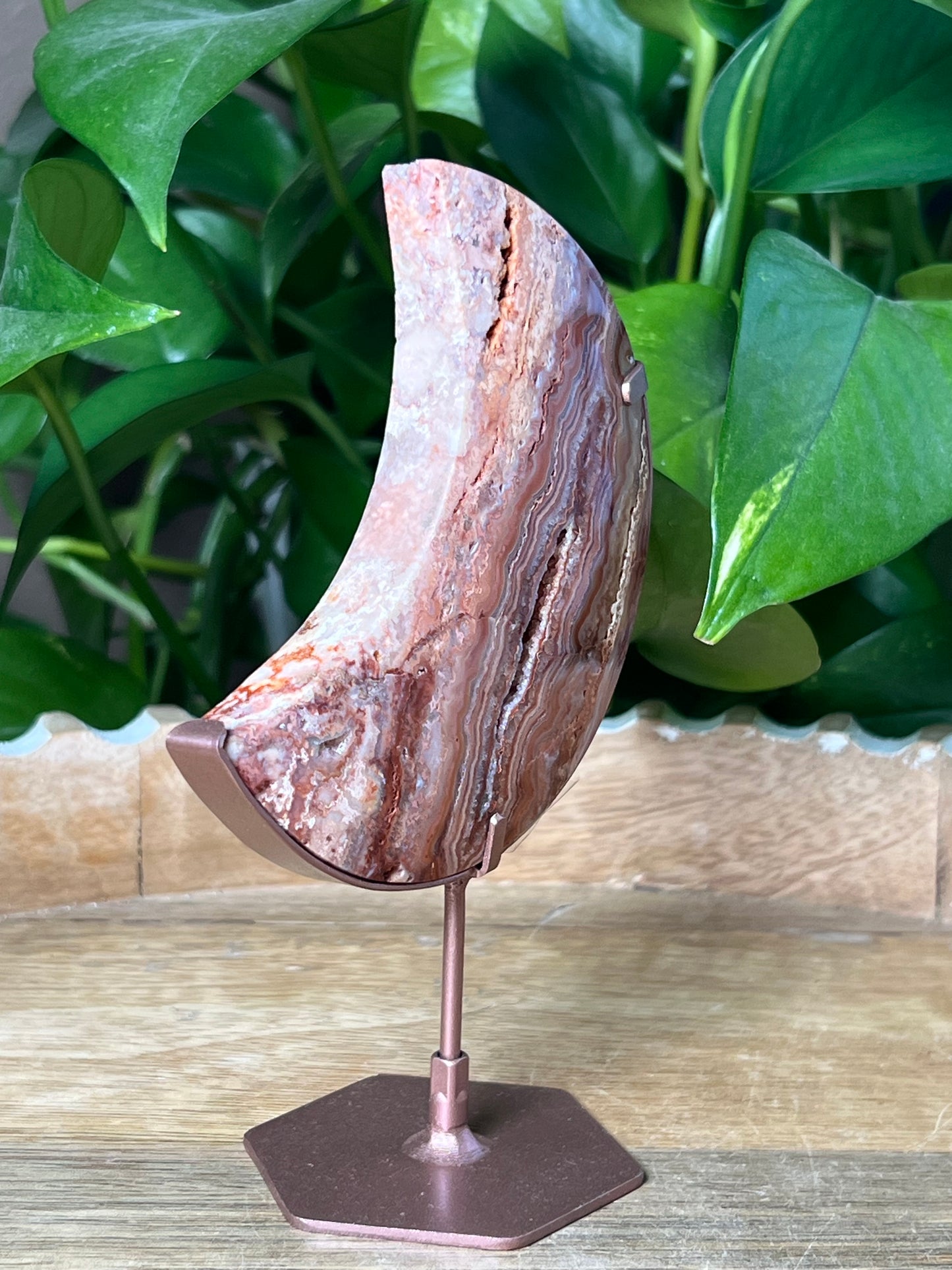 Crazy Lace Agate Moon