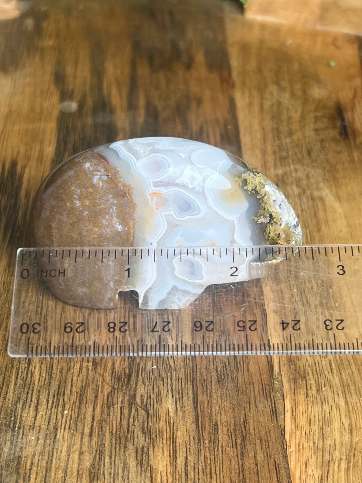 Scenic Moss Agate Bear BC