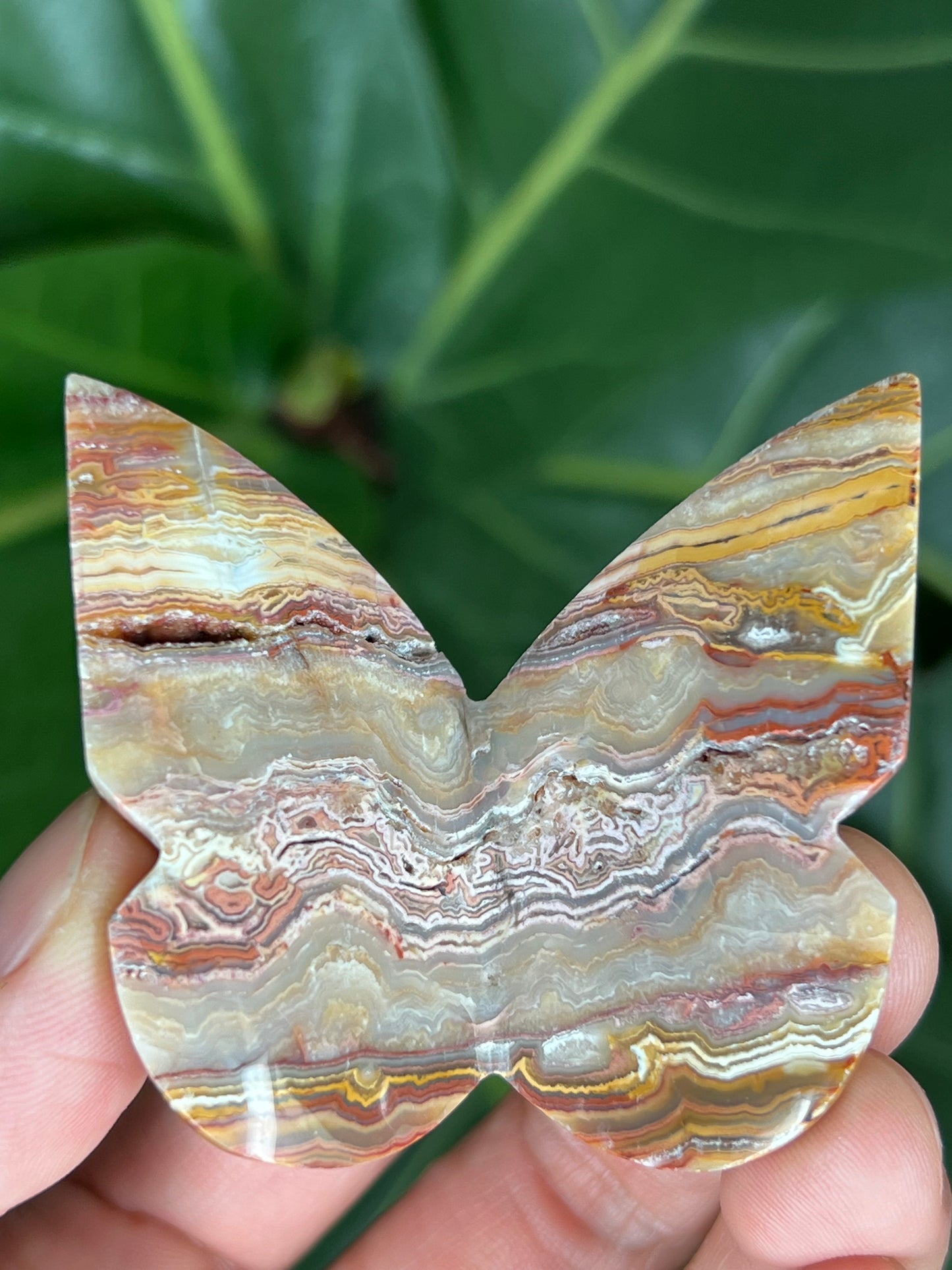 3D Butterfly Crazy Lace Agate