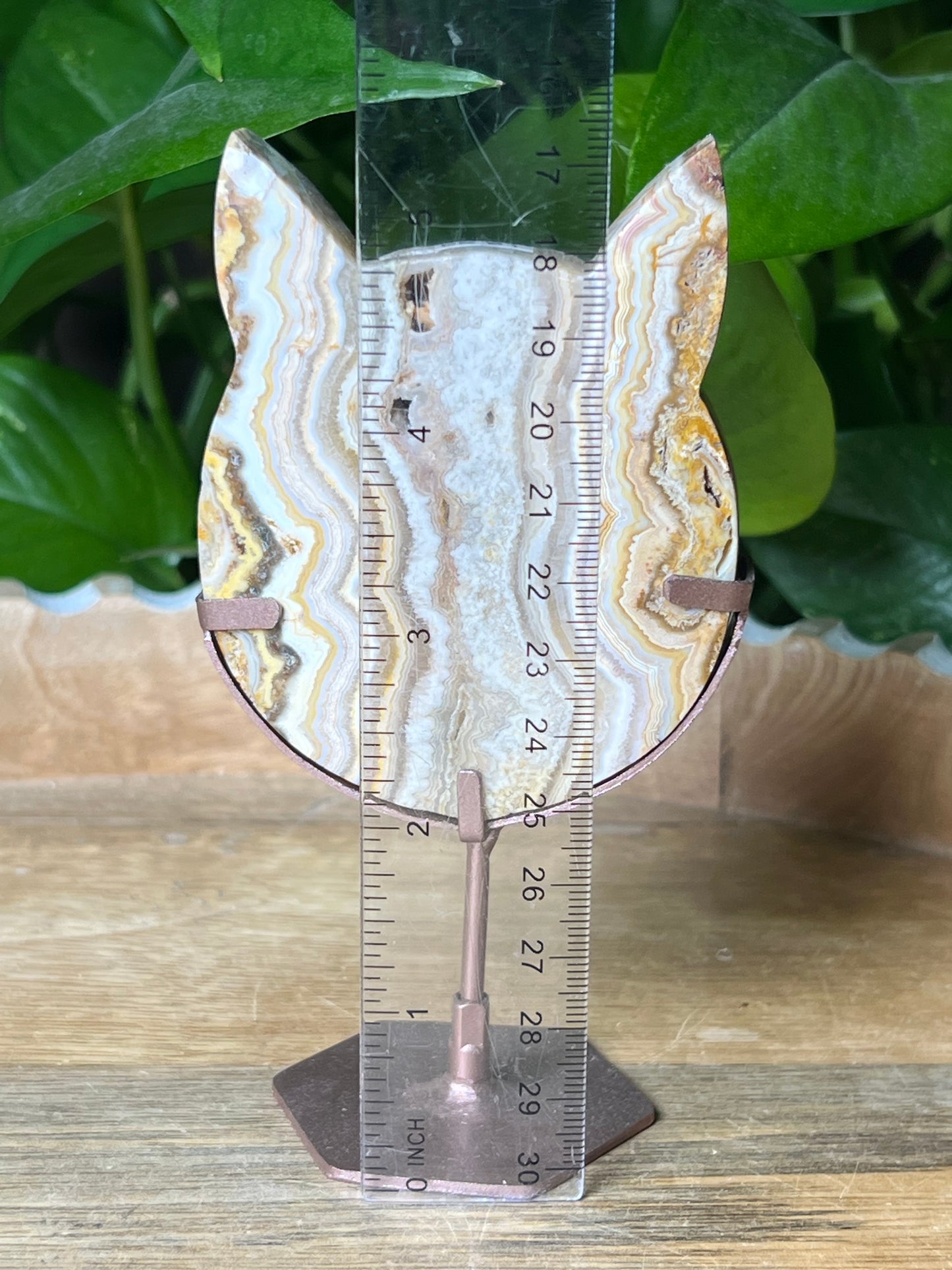 Crazy Lace Agate Cat Head