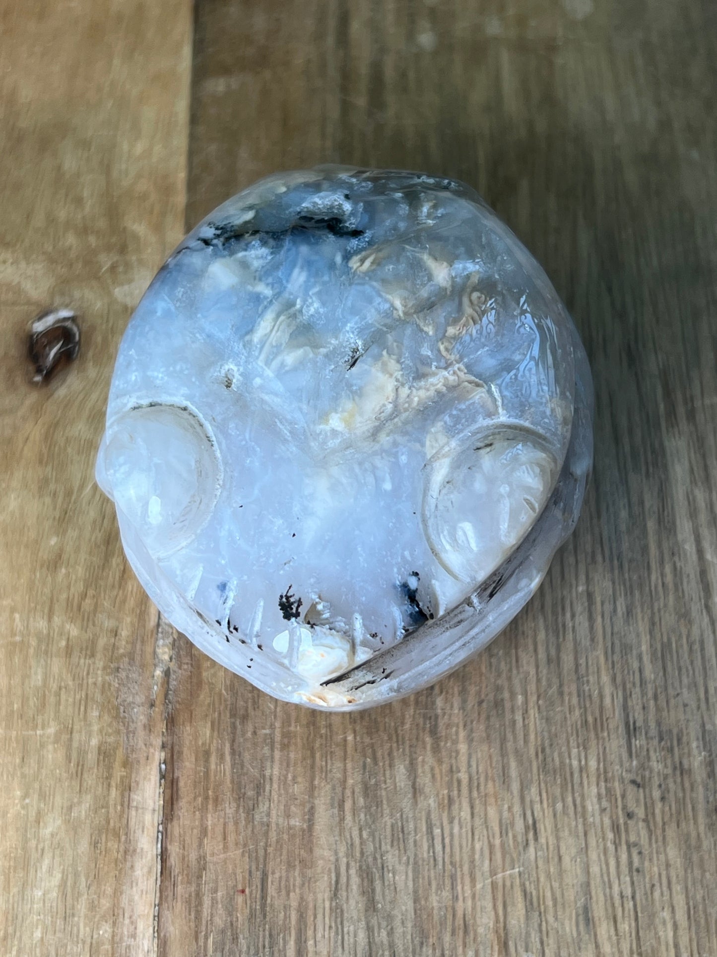 Dendritic Tiger Agate Frog