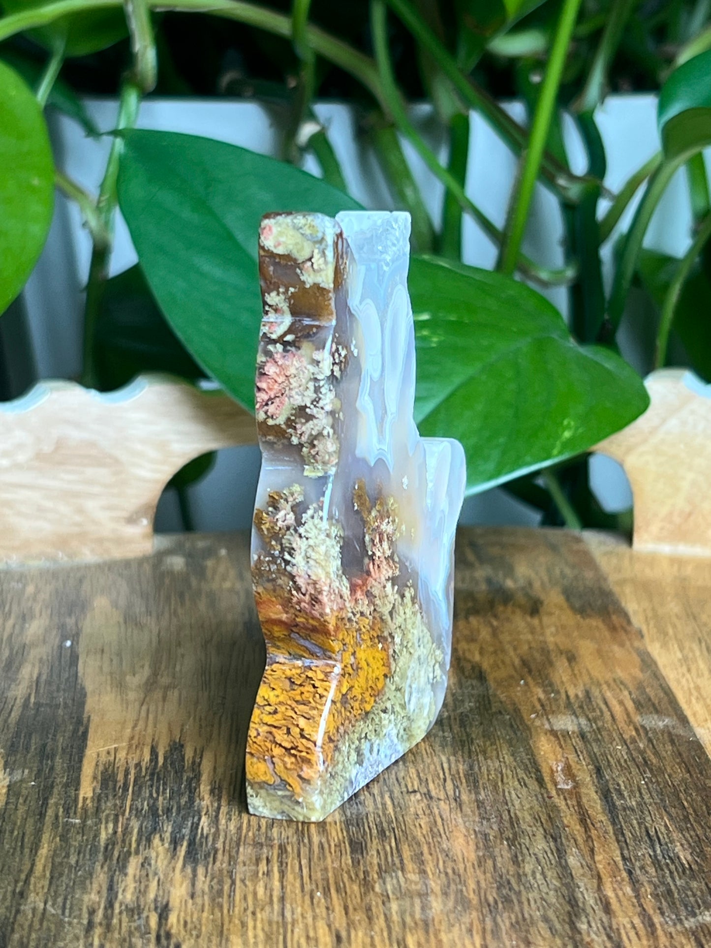 Scenic Moss Agate Cat: HX