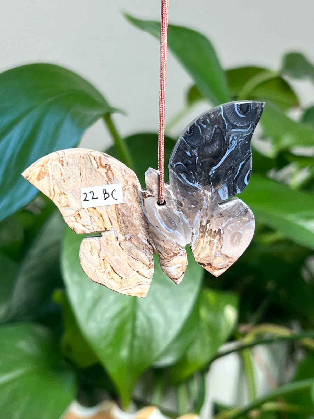 Palm Root Butterfly Ornaments