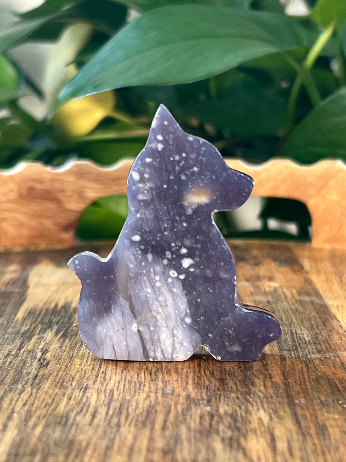 Purple Chalcedony Dogs