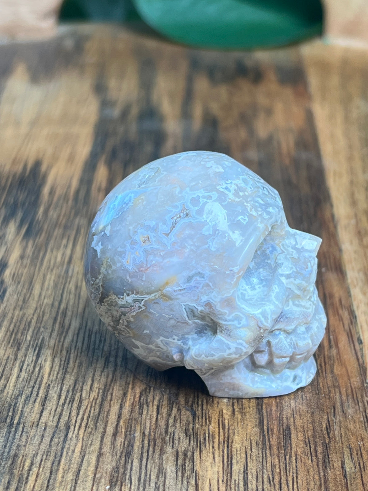 Sumatra Plume Agate Mini Plume: F