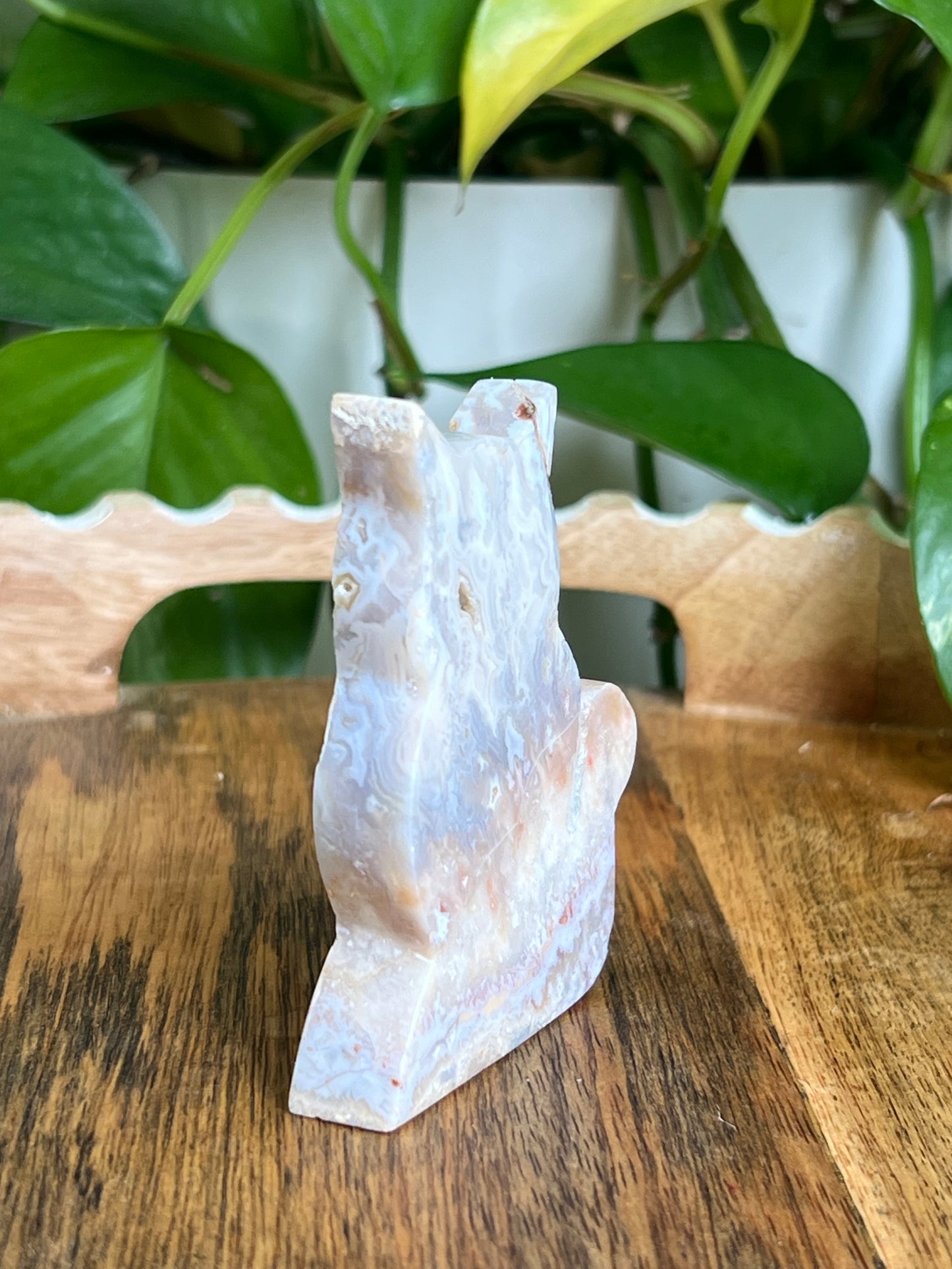 Sumatra Agate Cat EE