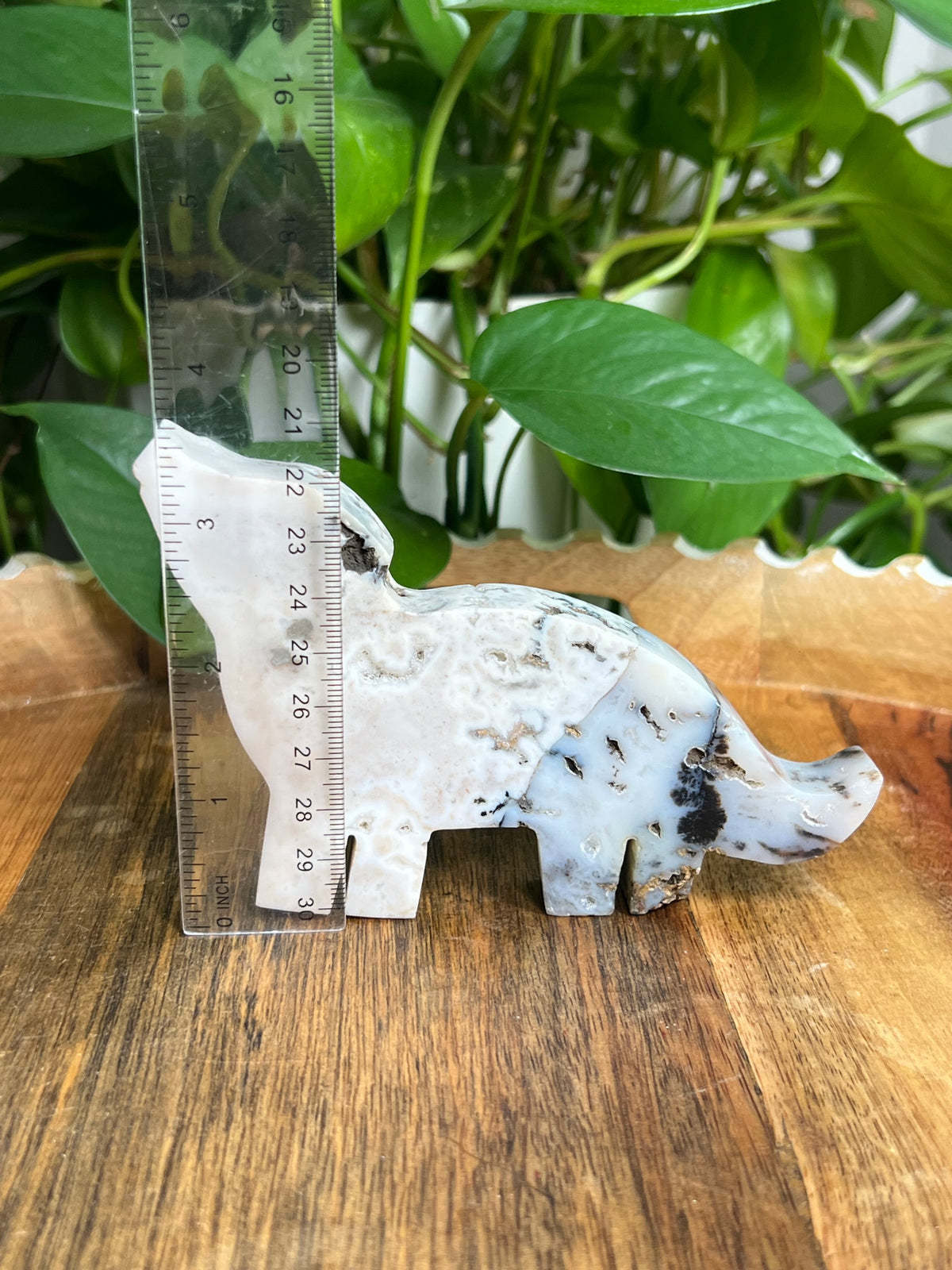 Dendritic Tiger Agate Wolf: K