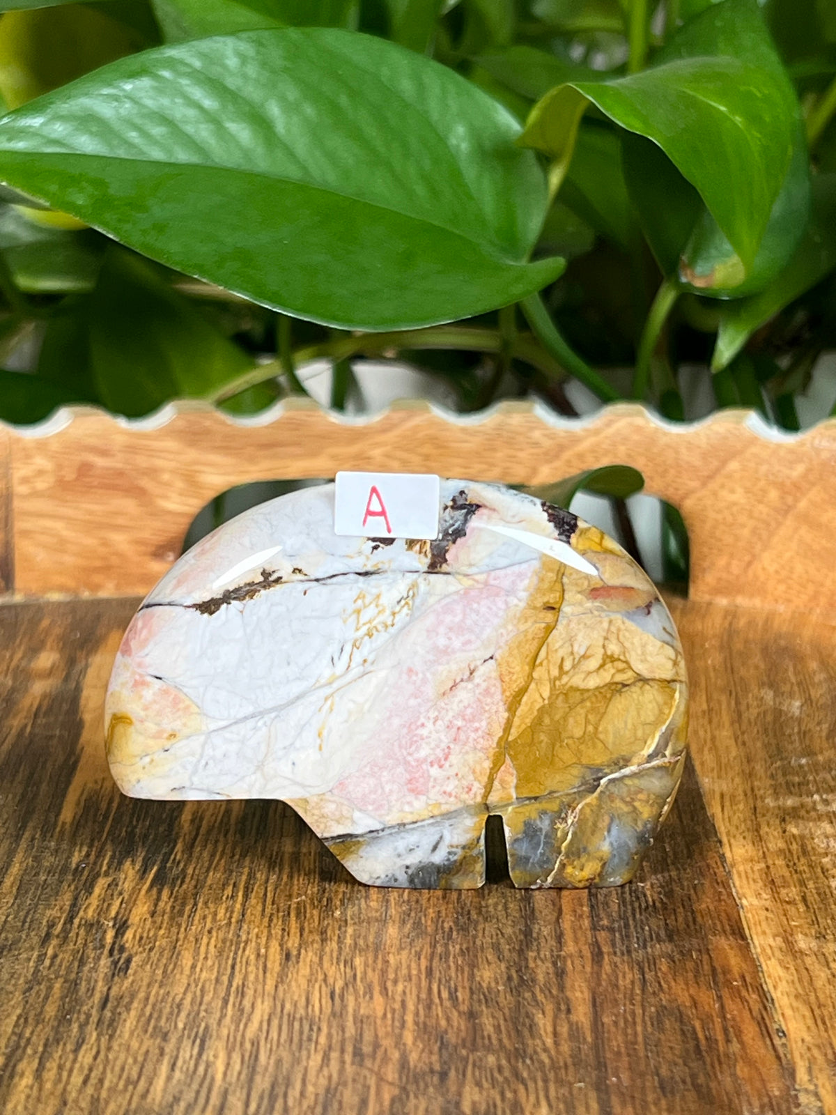 River Jasper Bears