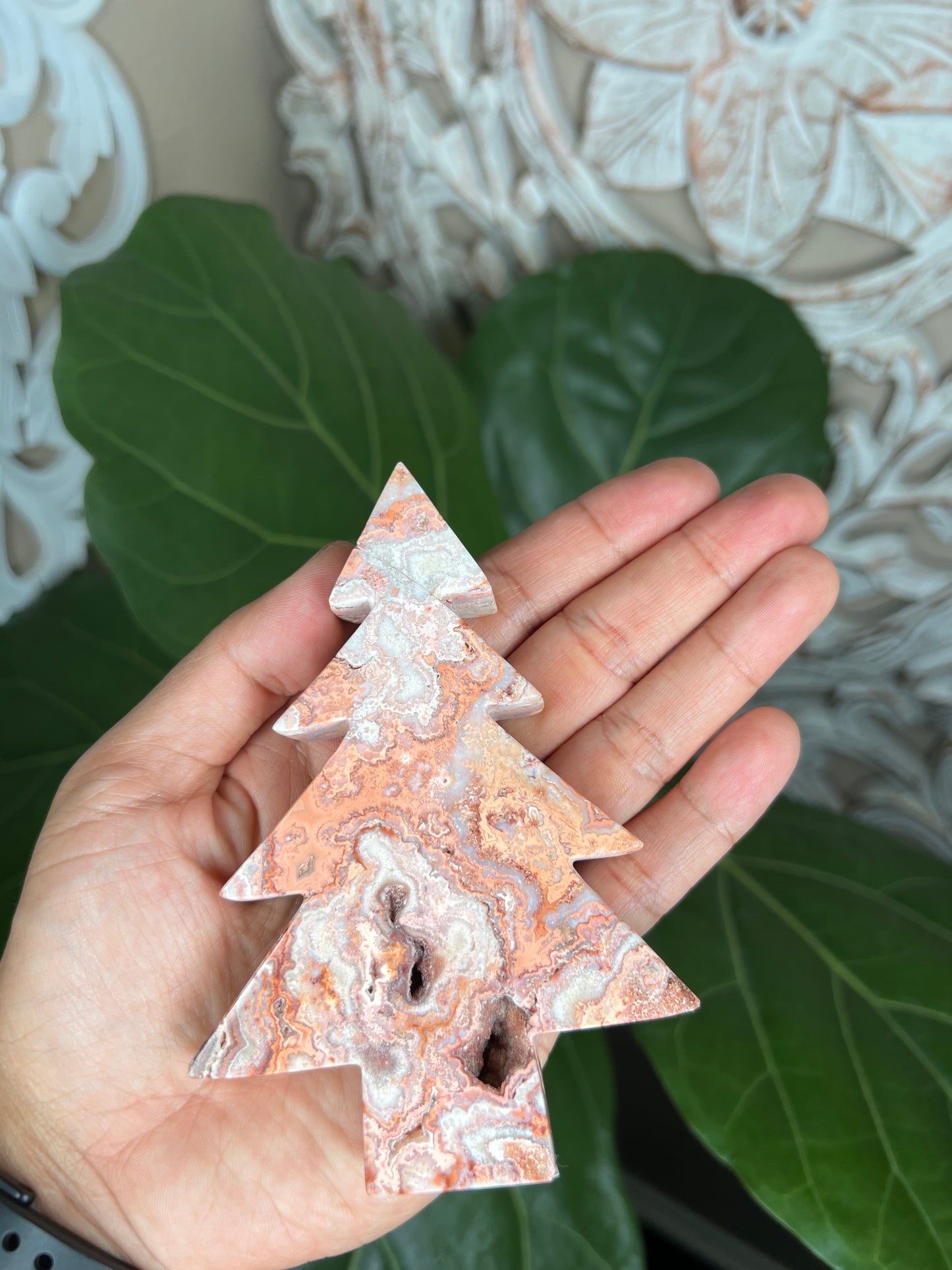 Crazy Lace Agate Tree
