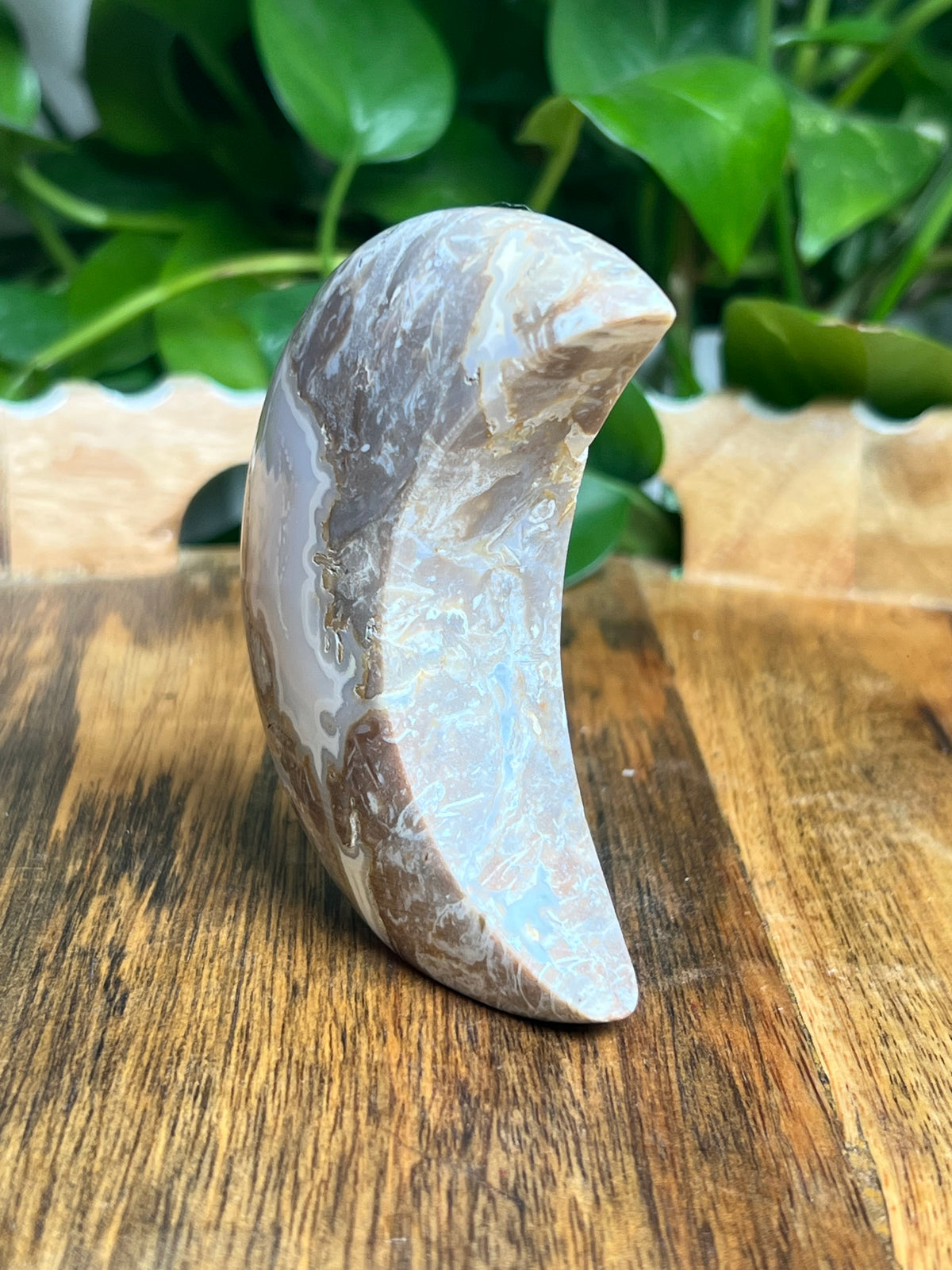 Sumatra Plume Agate Self-Standing Moon: NC