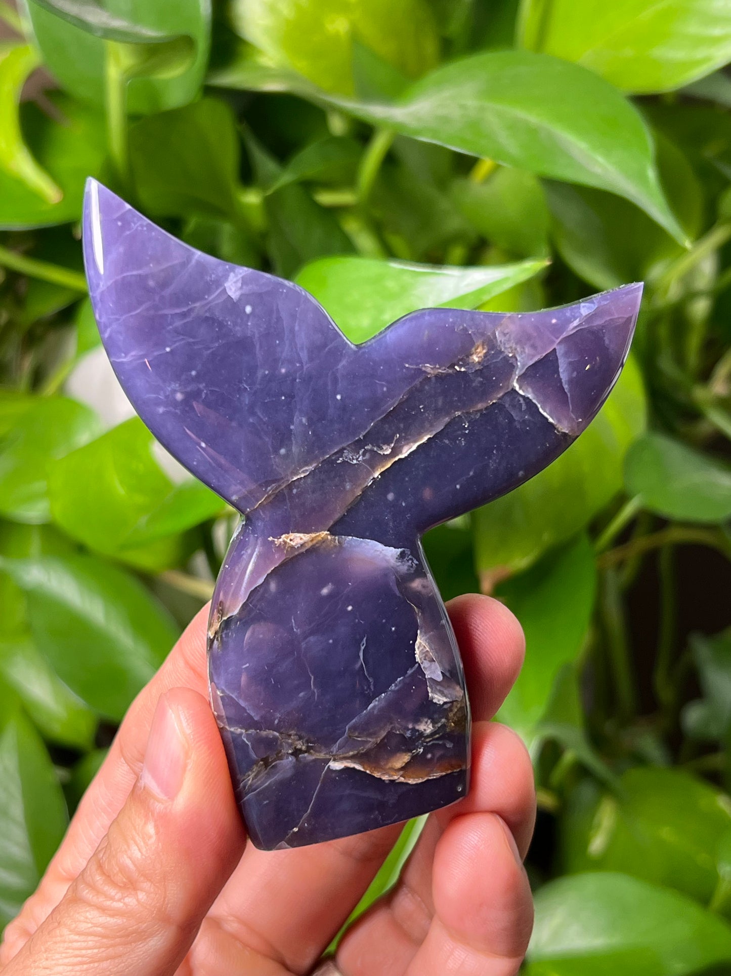 Purple Chalcedony Tail