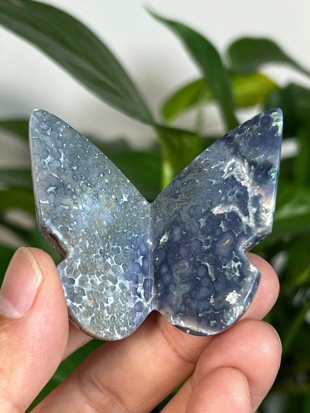 Grape Agate 3D Butterflies