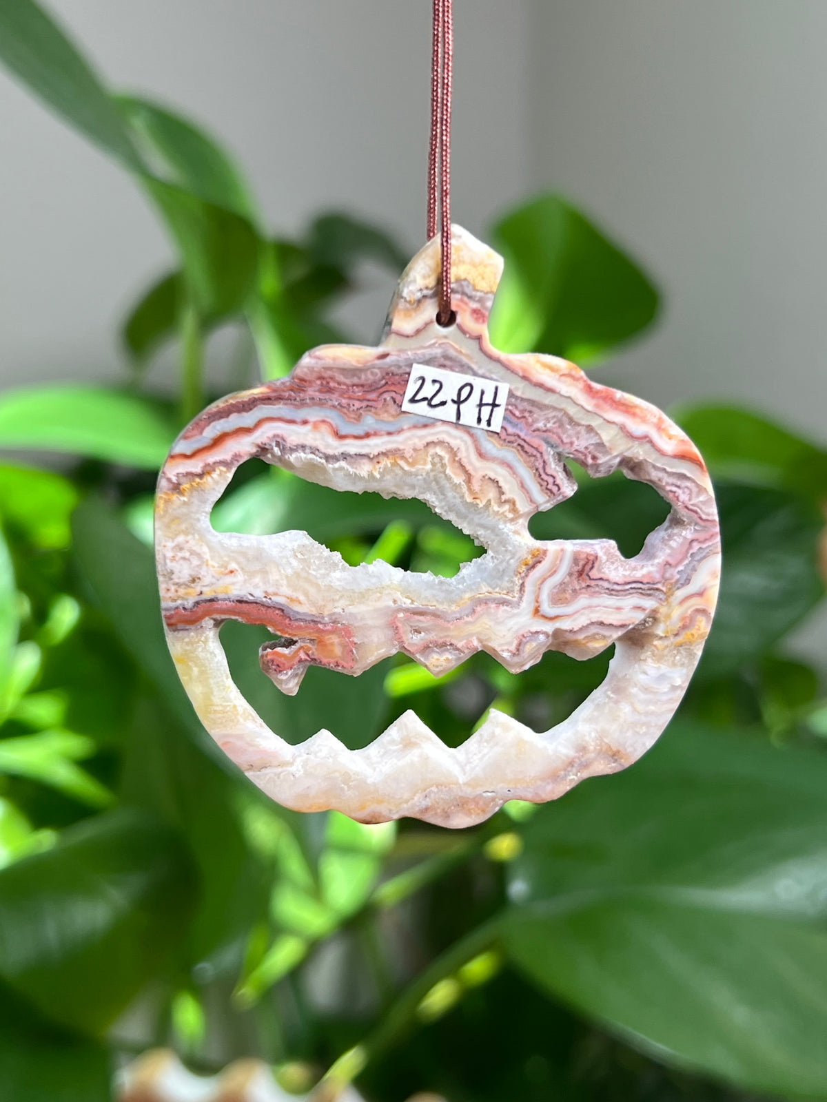Crazy Lace Agate Ornament Pumpkin:  PH
