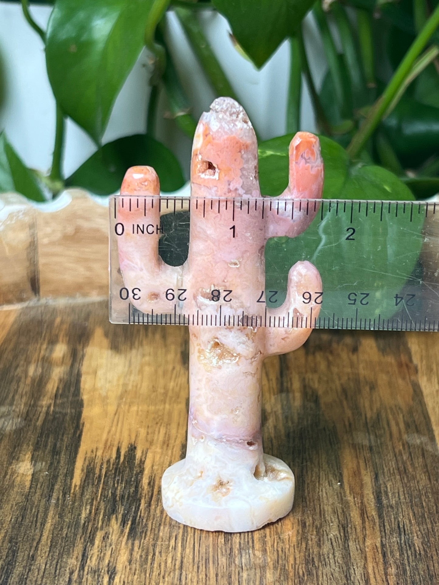 Pink Carnelian Cactus