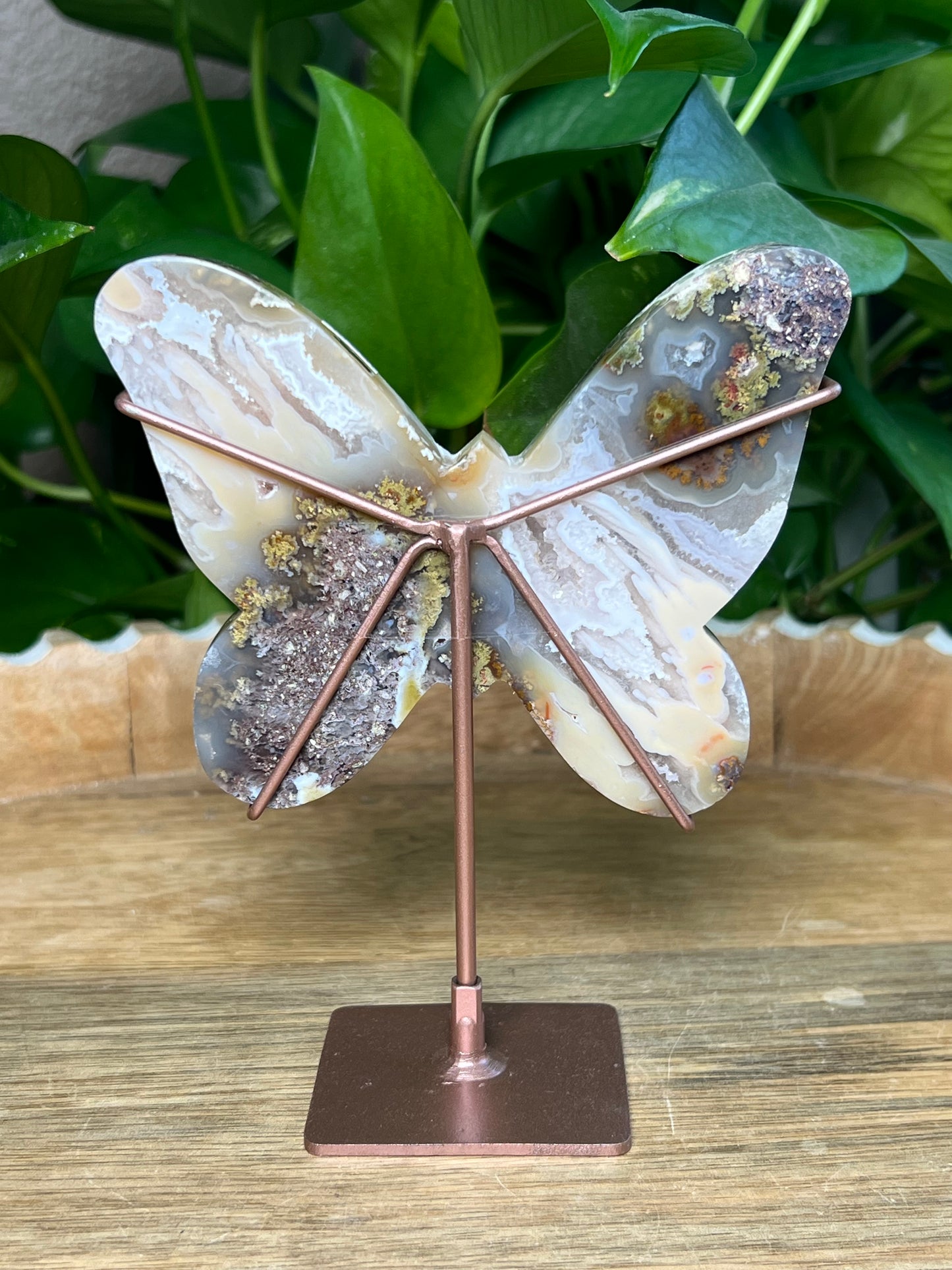 Scenic Moss Agate Butterfly