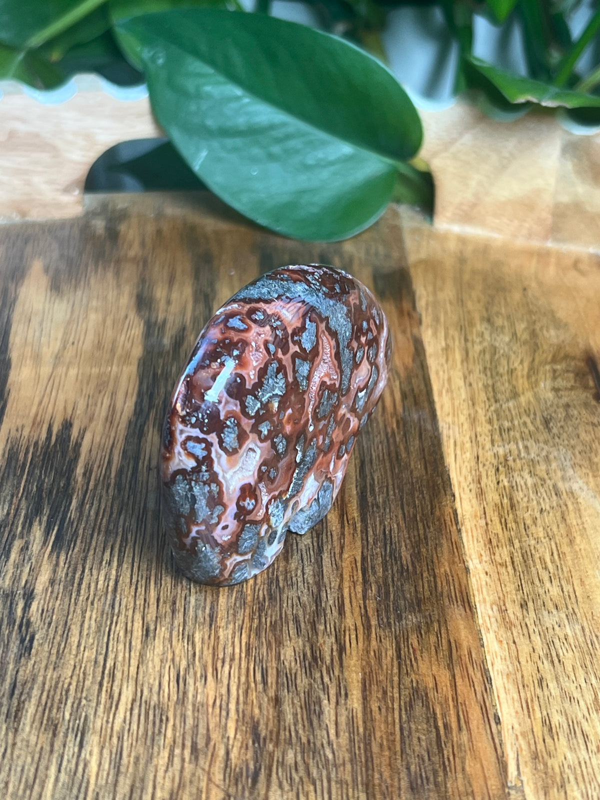 Marcasite Bear: PB