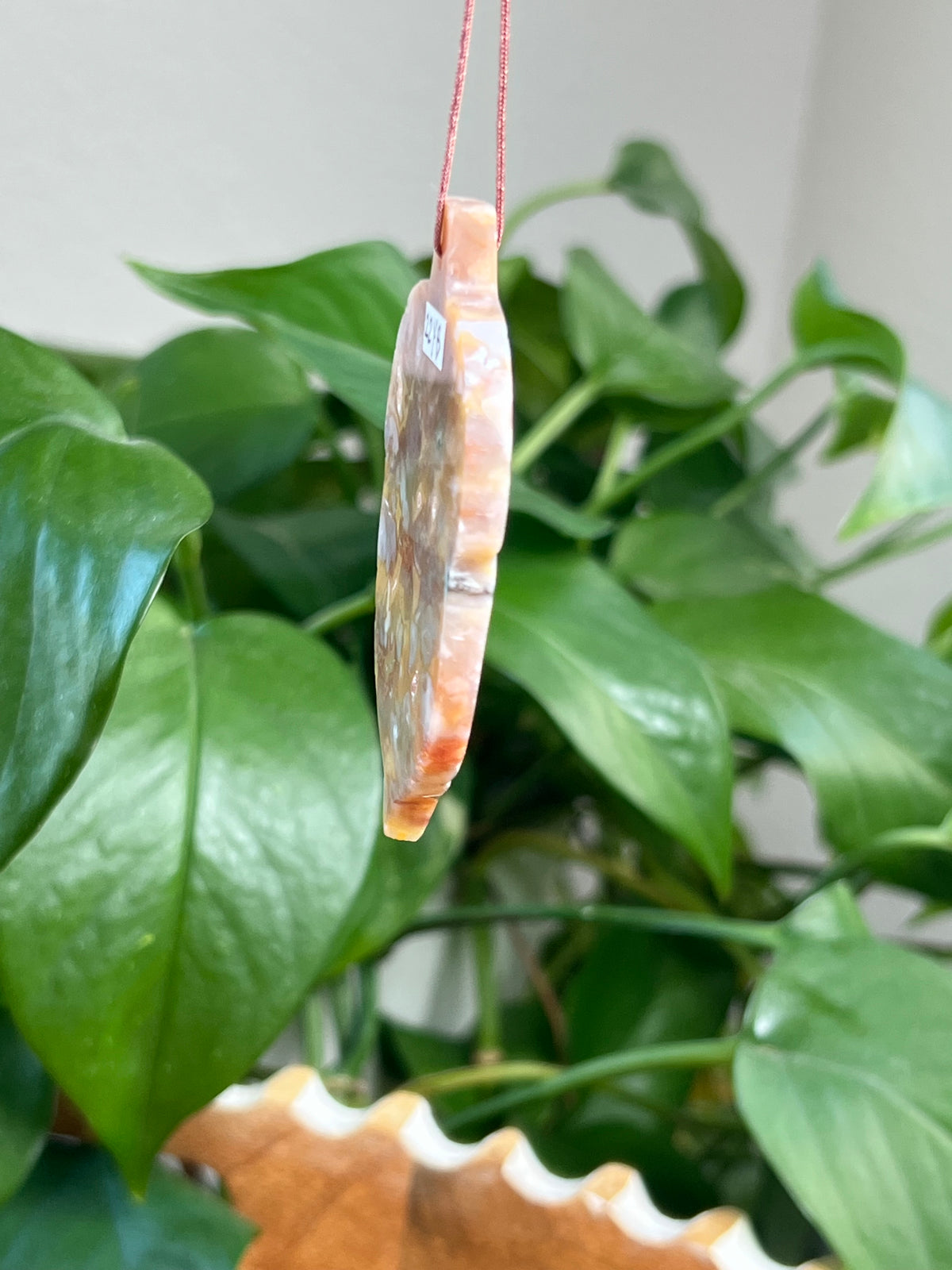 Sumatra Plume Agate Acorn Ornaments